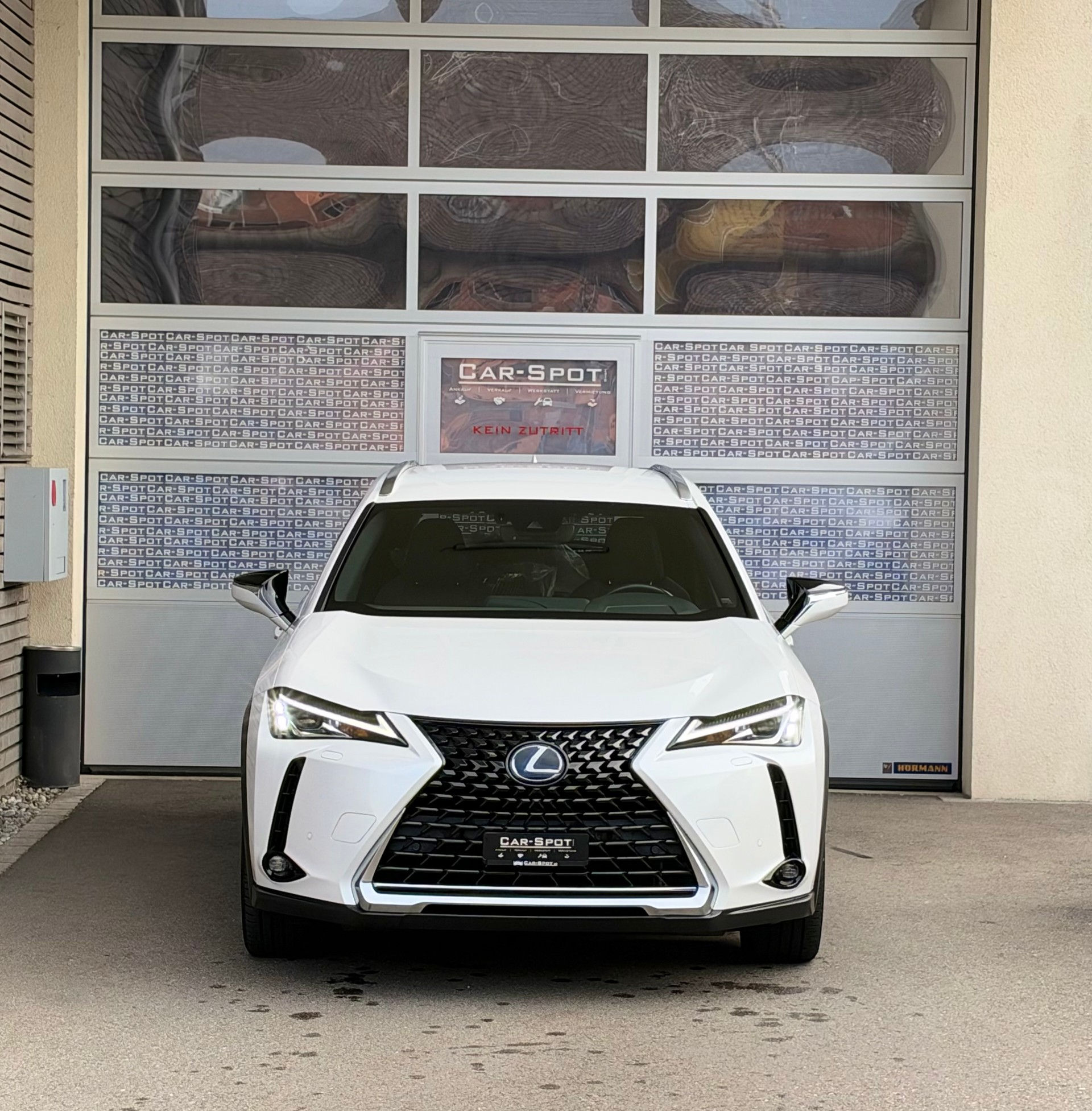 LEXUS UX 250h AWD Special Edition Celebrating 30-image-1