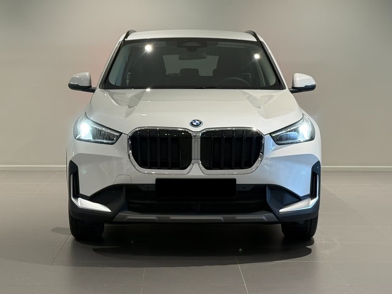BMW X1 xDrive 25e-image-1