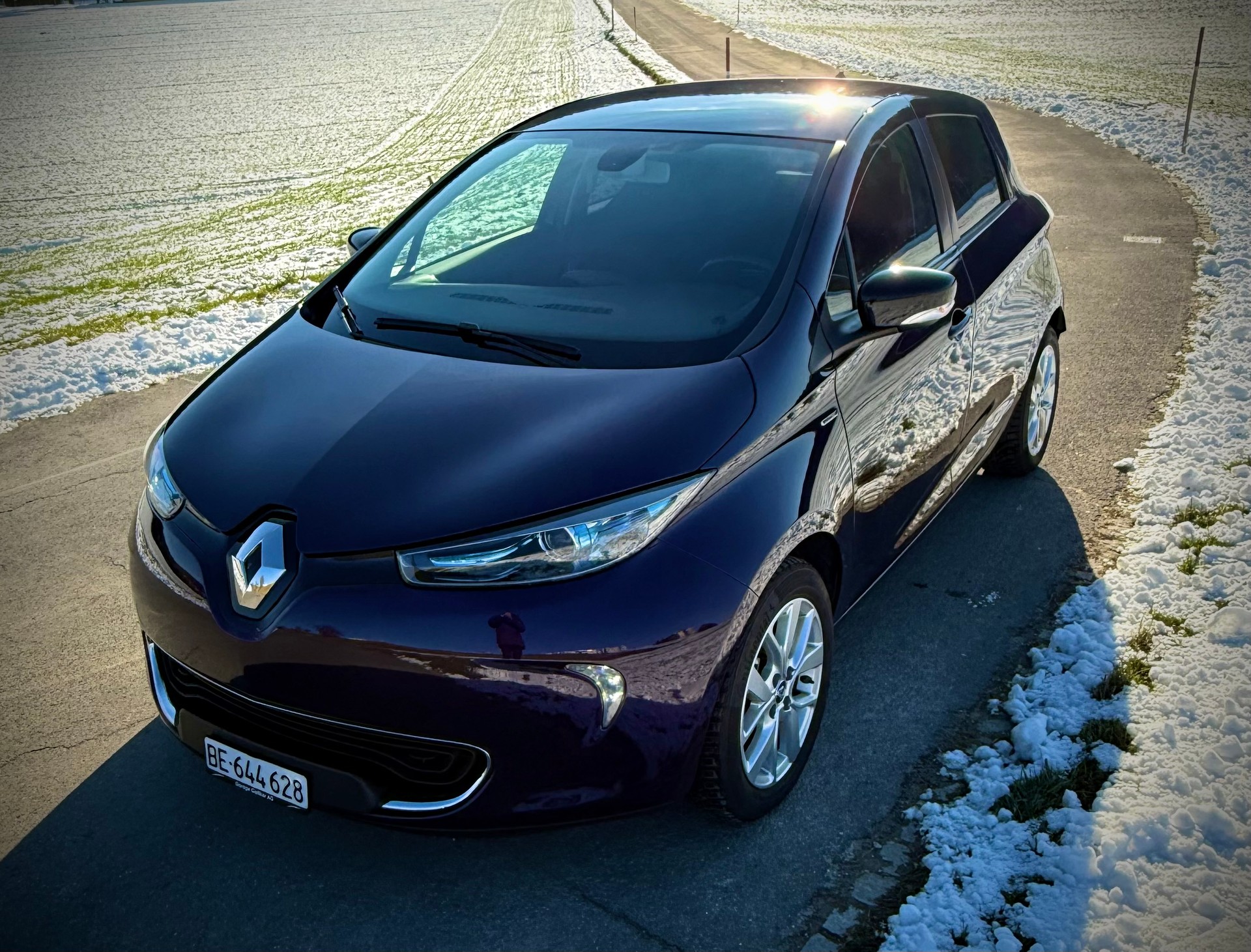 RENAULT R110 Iconic inkl. Batterie-image-1