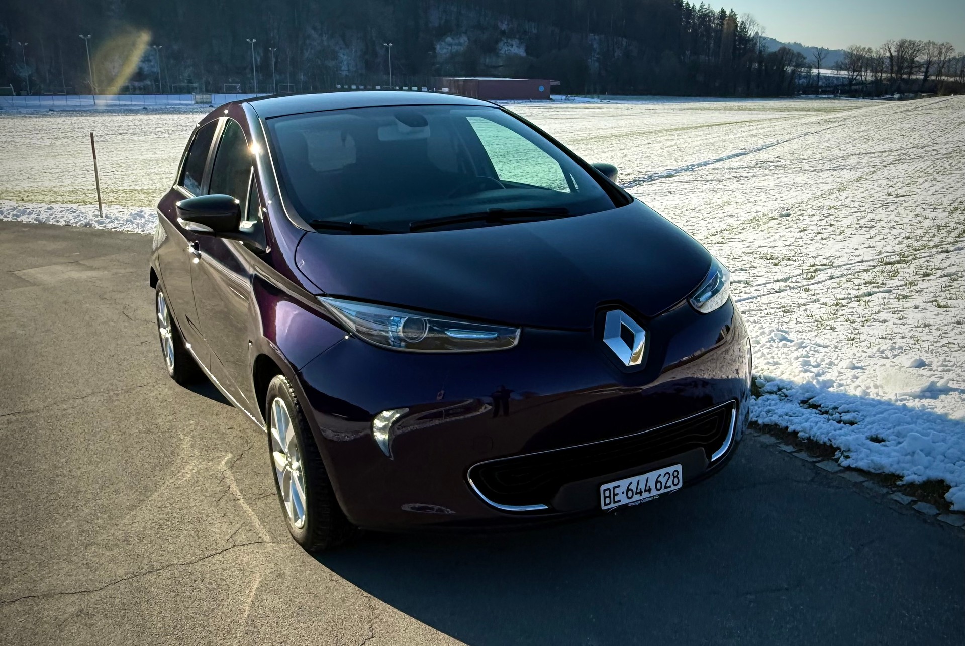 RENAULT R110 Iconic inkl. Batterie-image-0