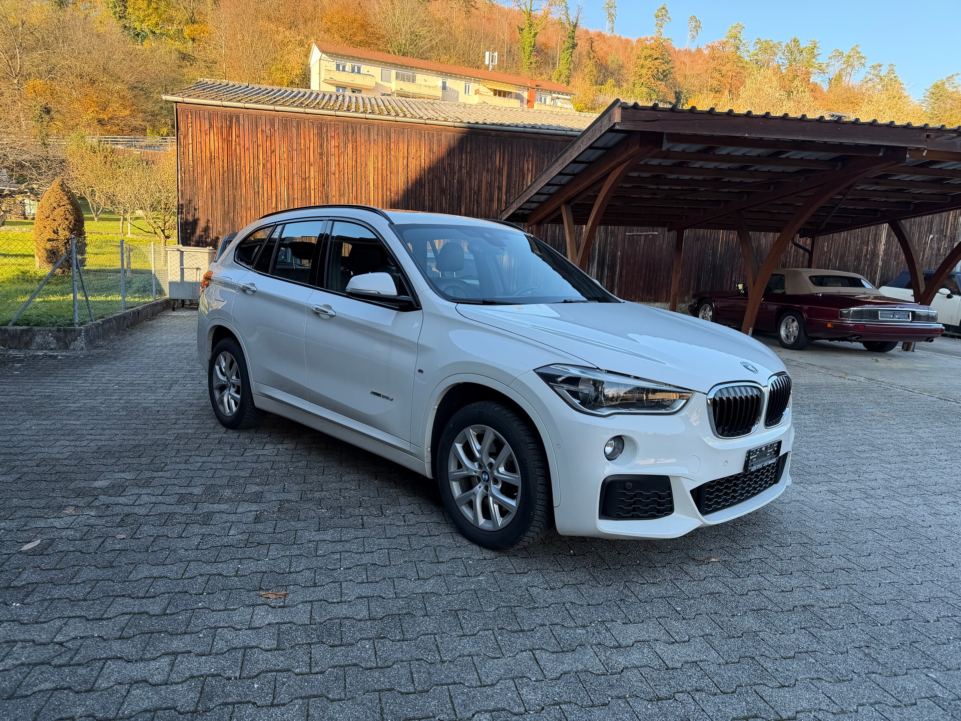 BMW X1 xDrive 25d M Sport Steptronic-image-2