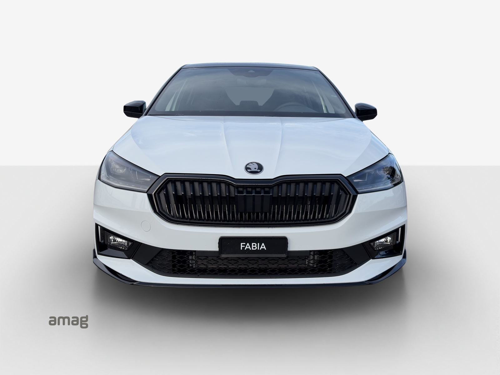 SKODA Fabia 1.5 TSI 130 DSG-image-6