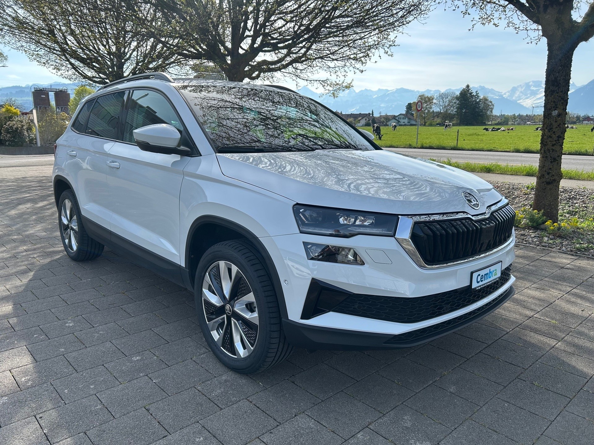 SKODA Karoq 2.0 TDI CR Style 4x4 DSG-image-0
