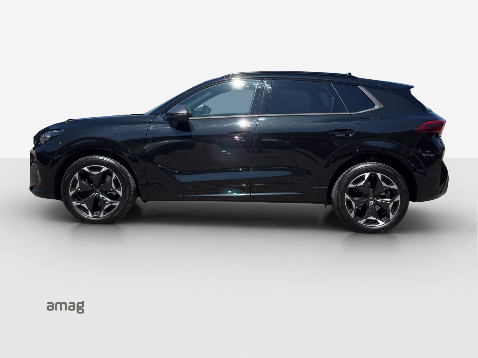 CUPRA Terramar 2.0 TSI DSG 4Drive VZ-image-1