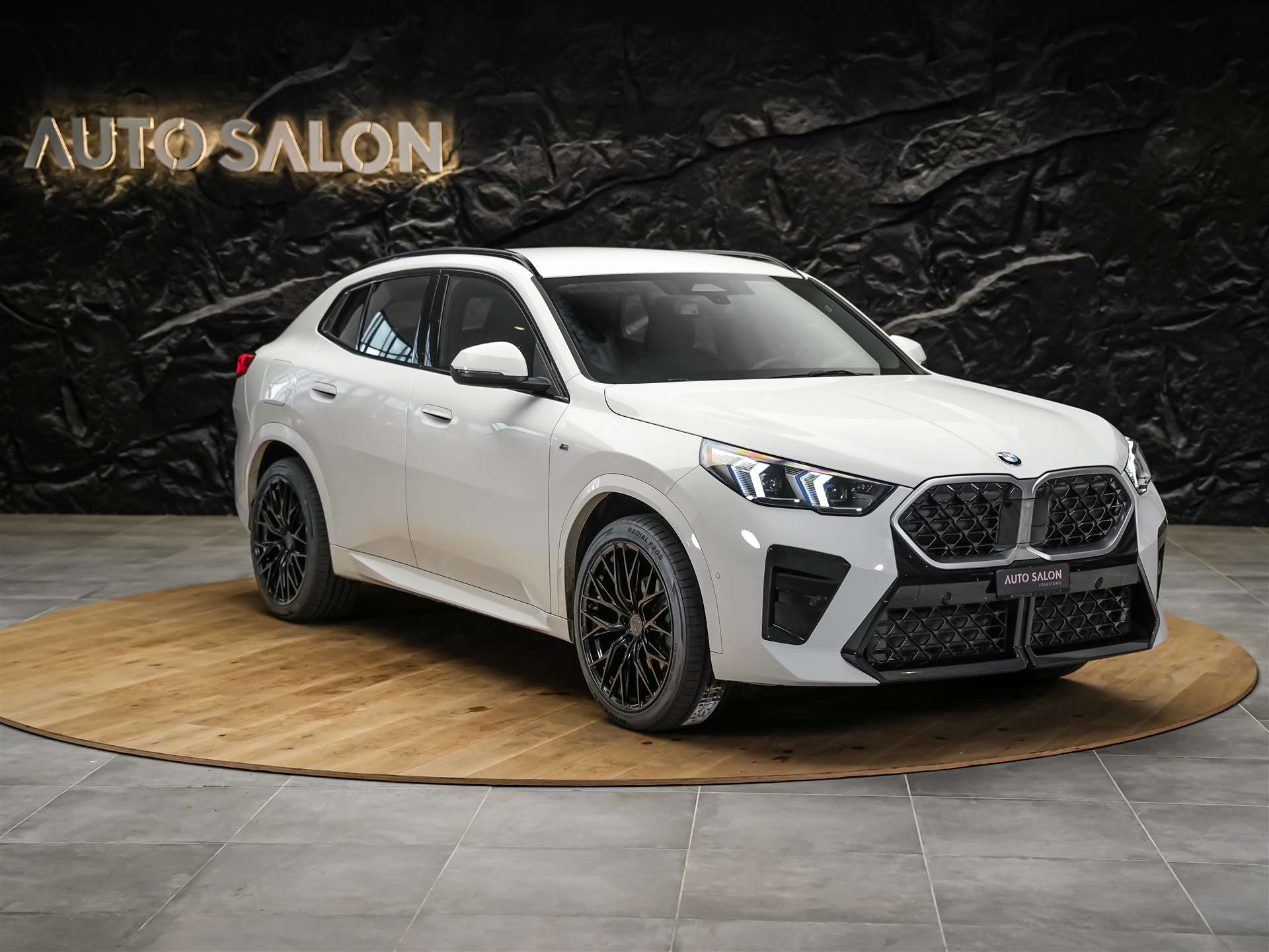 BMW X2 xDrive 20d M Sport *Werksgarantie*20" Felgen*AHK*-image-6