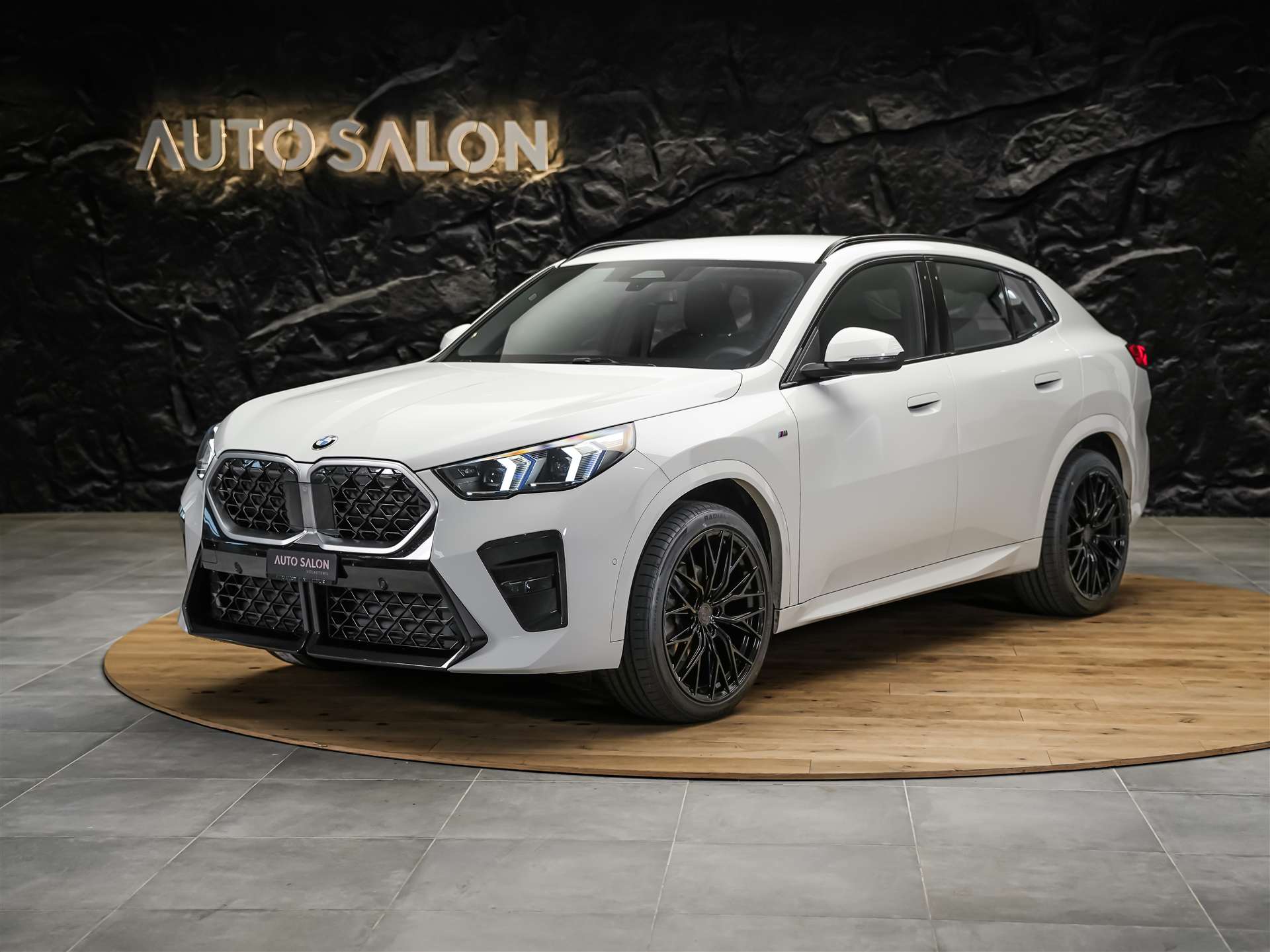 BMW X2 xDrive 20d M Sport *Werksgarantie*20" Felgen*AHK*-image-1