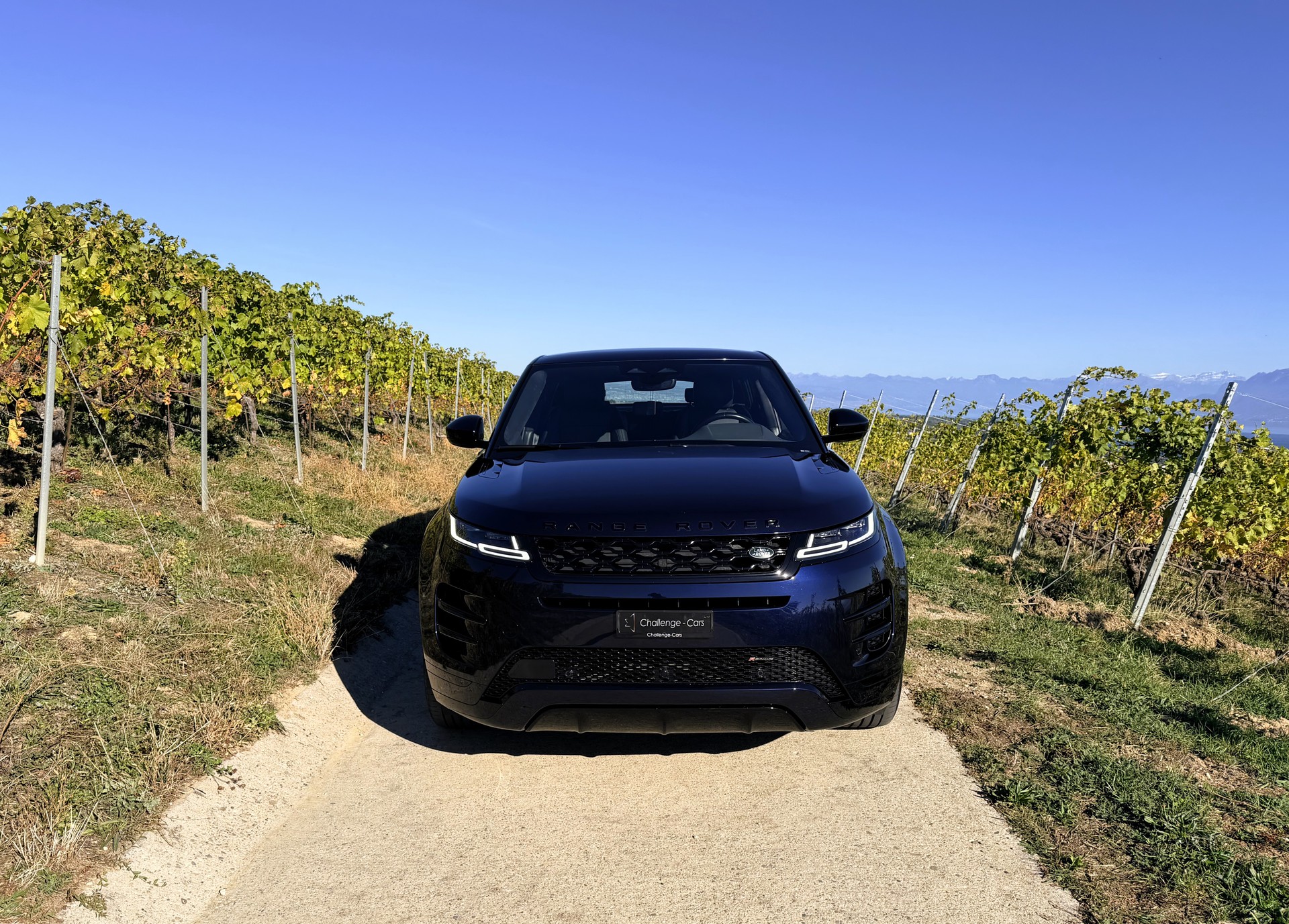 LAND ROVER Range Rover Evoque R-Dynamic SE P 300e AT8-image-2