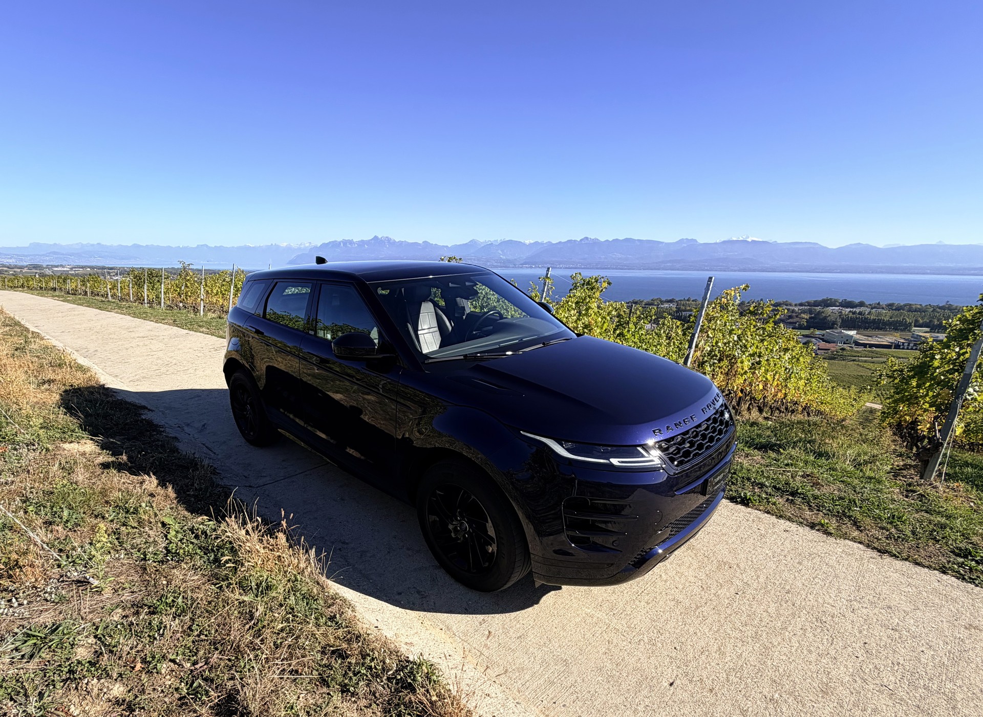 LAND ROVER Range Rover Evoque R-Dynamic SE P 300e AT8-image-4