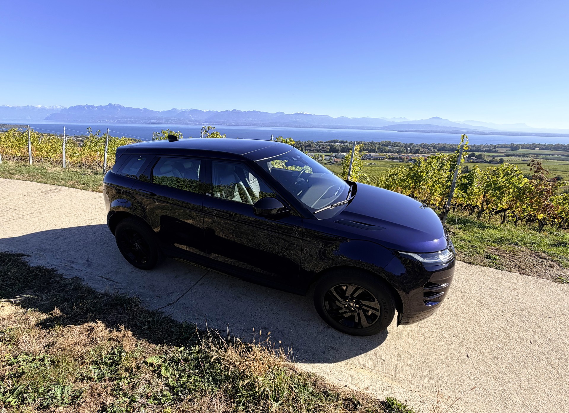 LAND ROVER Range Rover Evoque R-Dynamic SE P 300e AT8-image-5
