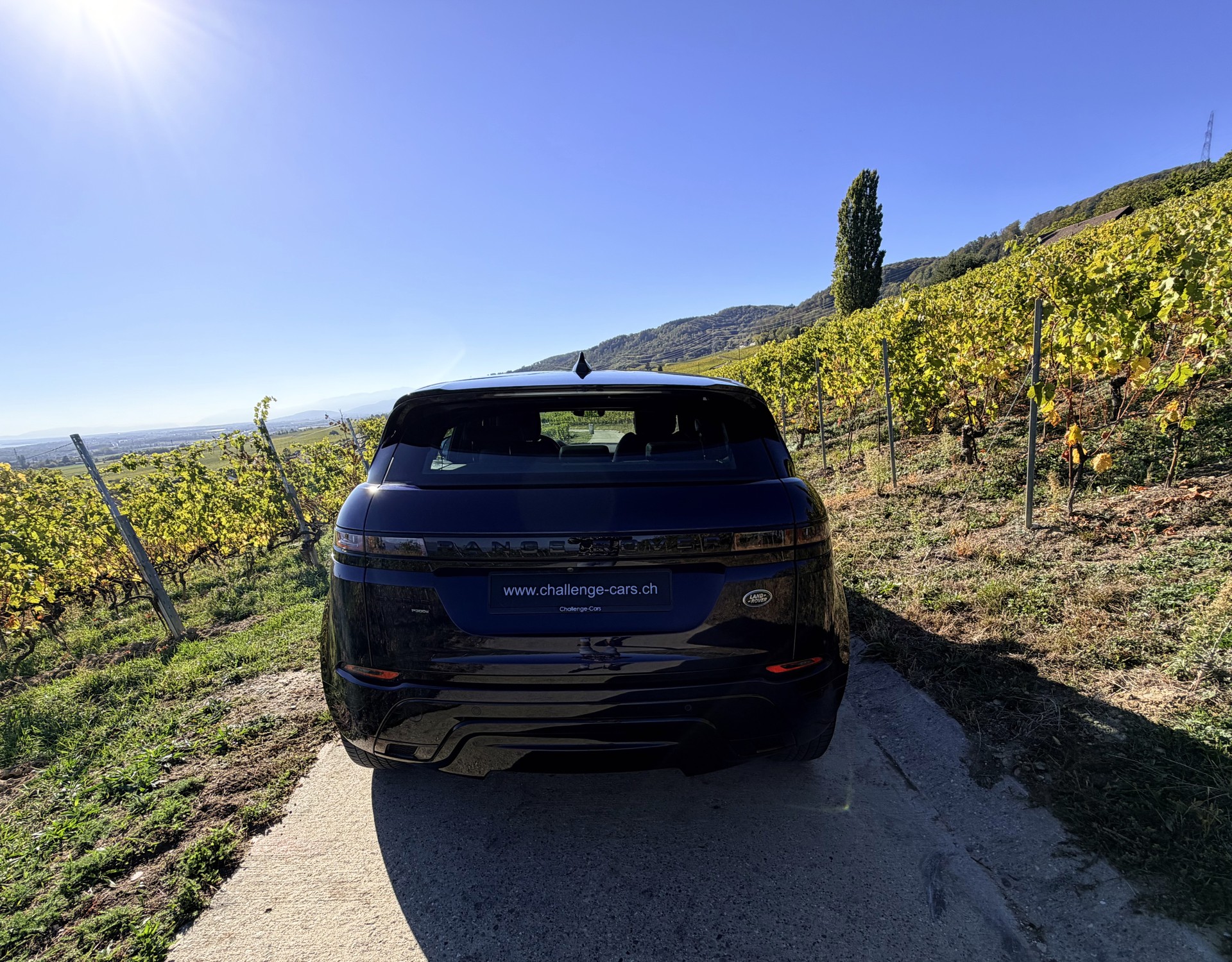 LAND ROVER Range Rover Evoque R-Dynamic SE P 300e AT8-image-9