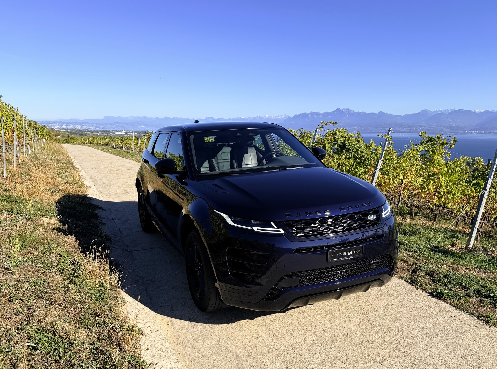 LAND ROVER Range Rover Evoque R-Dynamic SE P 300e AT8-image-3