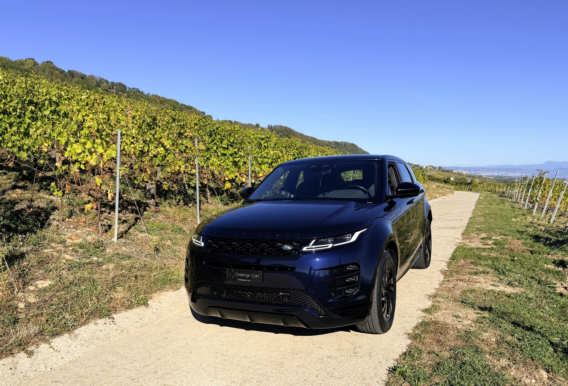 LAND ROVER Range Rover Evoque R-Dynamic SE P 300e AT8-image-1