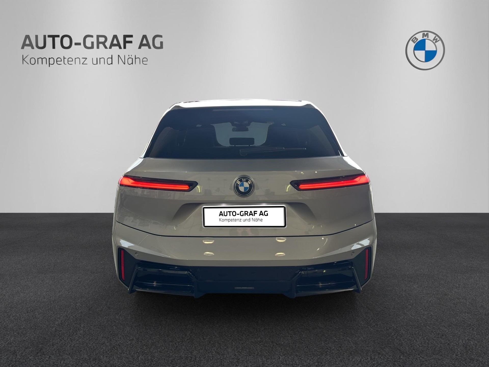BMW iX xDrive60 M Sport Pro-image-3