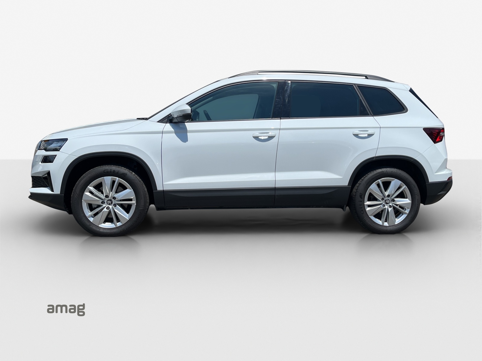 SKODA Karoq 2.0 TDI CR Selection 4x4 DSG-image-1