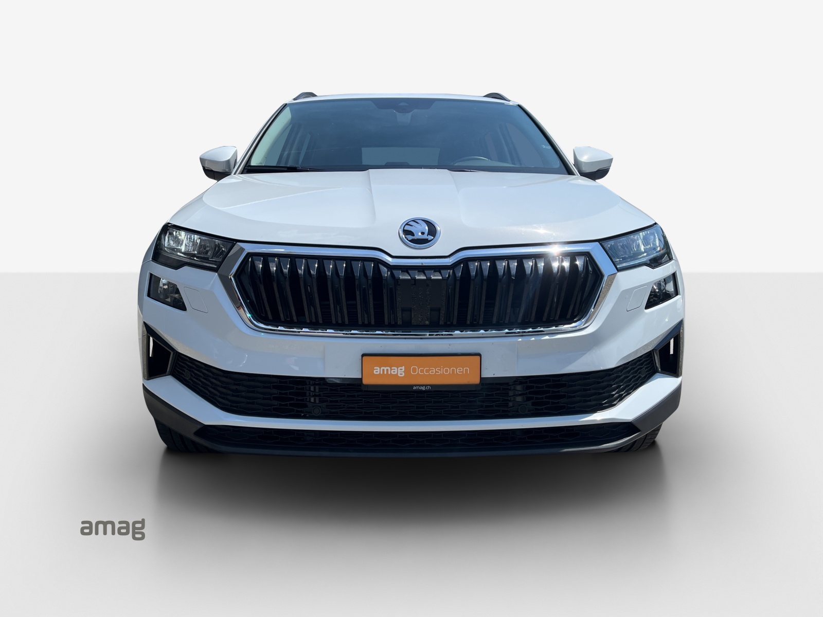 SKODA Karoq 2.0 TDI CR Selection 4x4 DSG-image-6