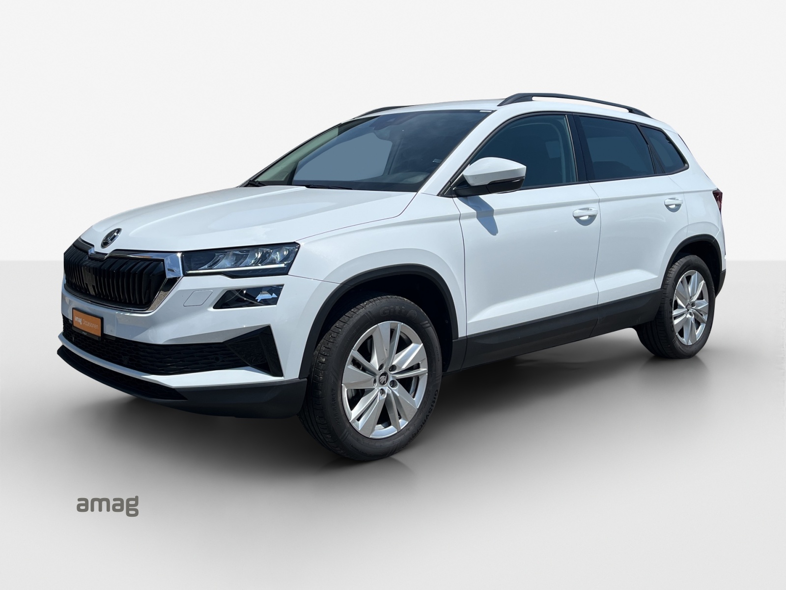 SKODA Karoq 2.0 TDI CR Selection 4x4 DSG-image-0
