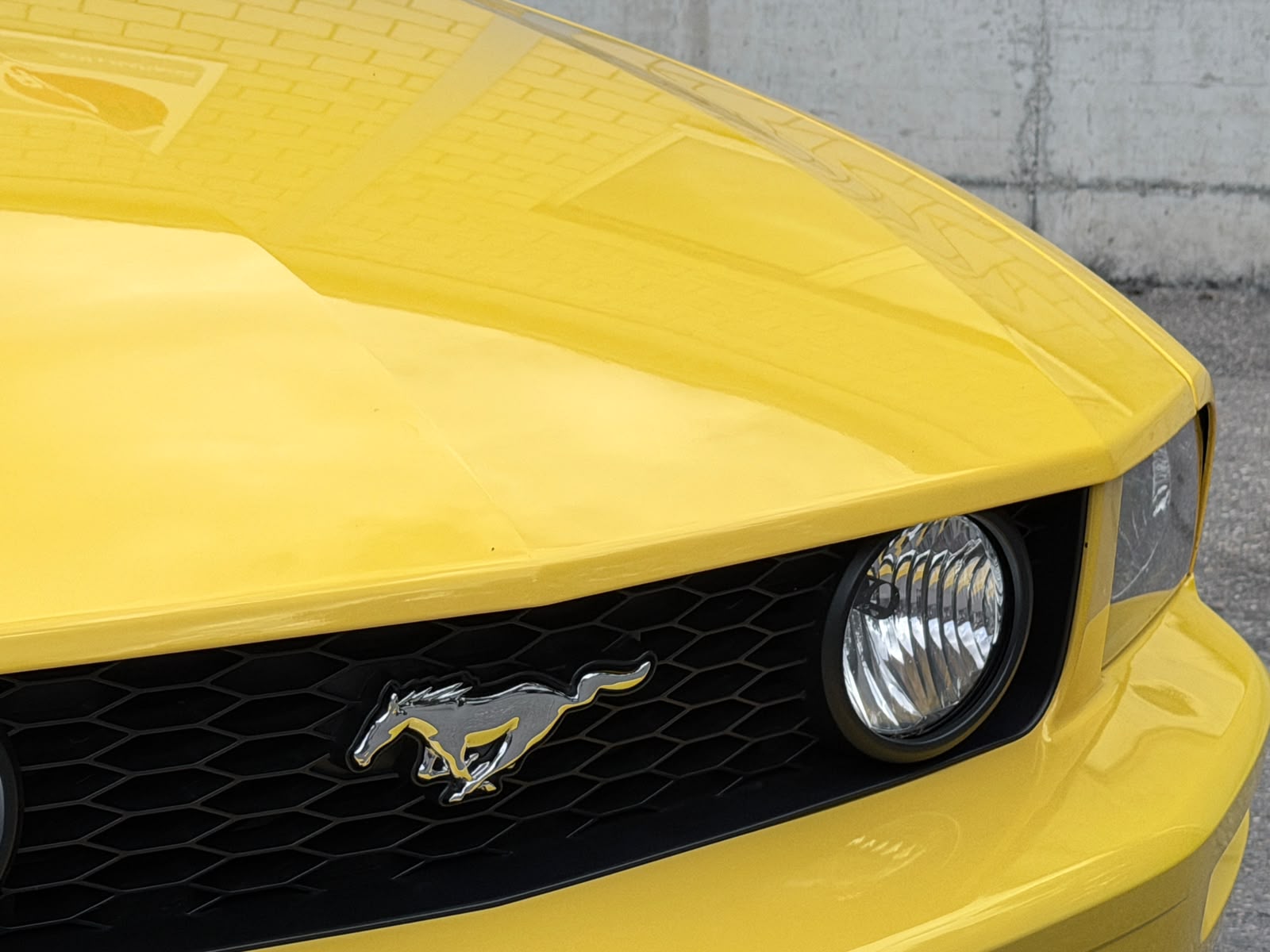 FORD MUSTANG GT 4.6-V8 CONV. CABRIO-image-16