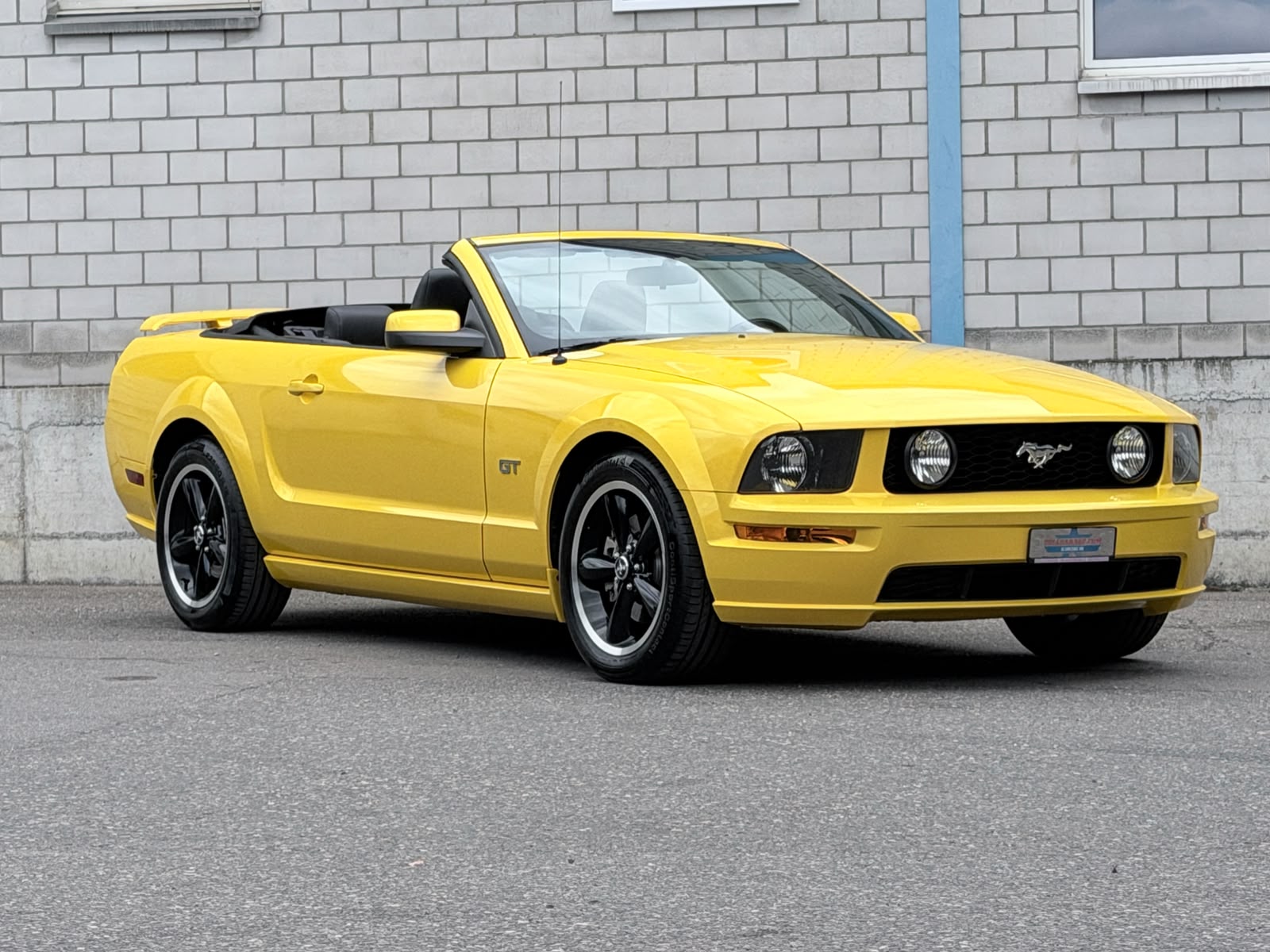 FORD MUSTANG GT 4.6-V8 CONV. CABRIO-image-0