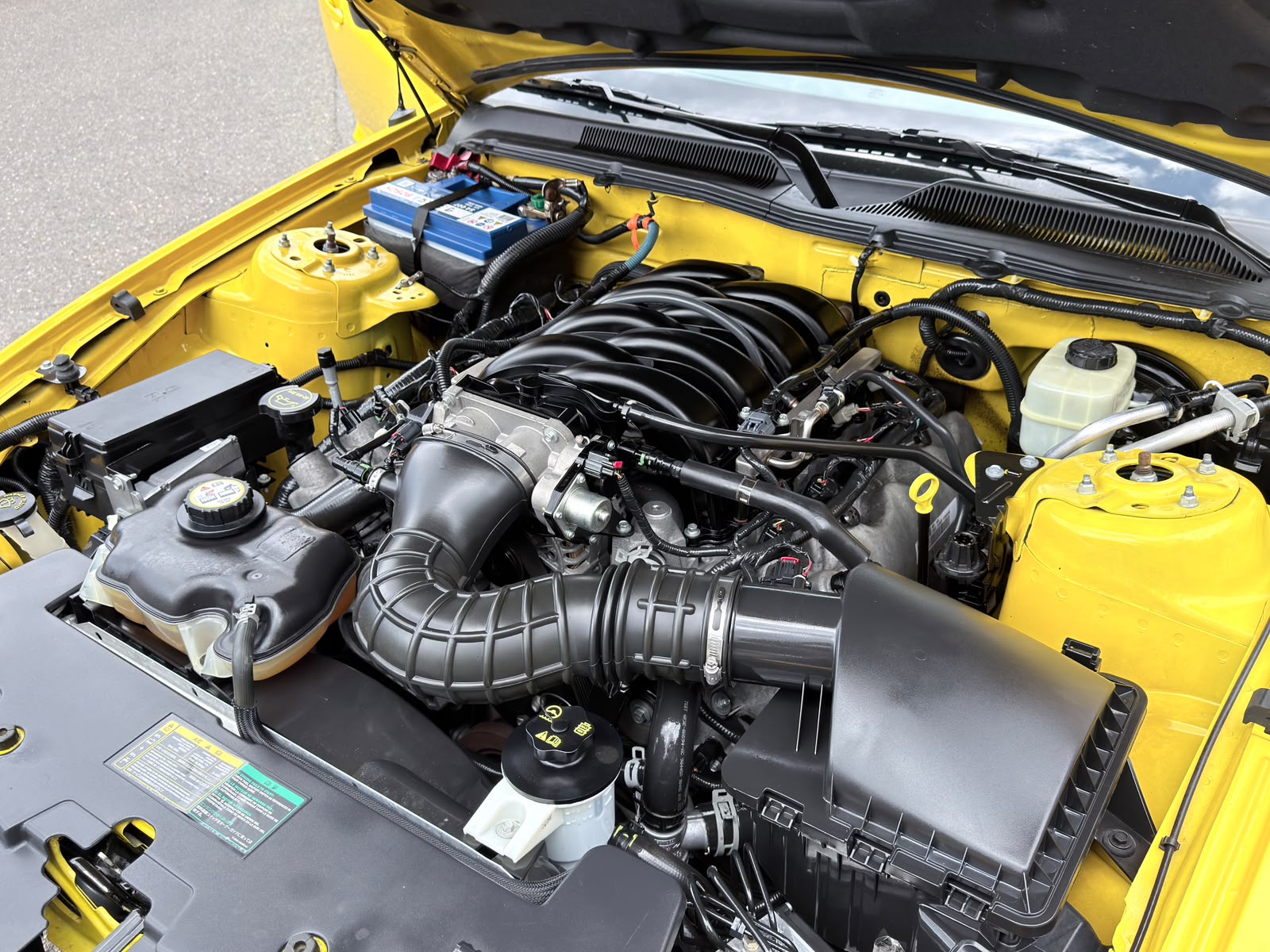 FORD MUSTANG GT 4.6-V8 CONV. CABRIO-image-14