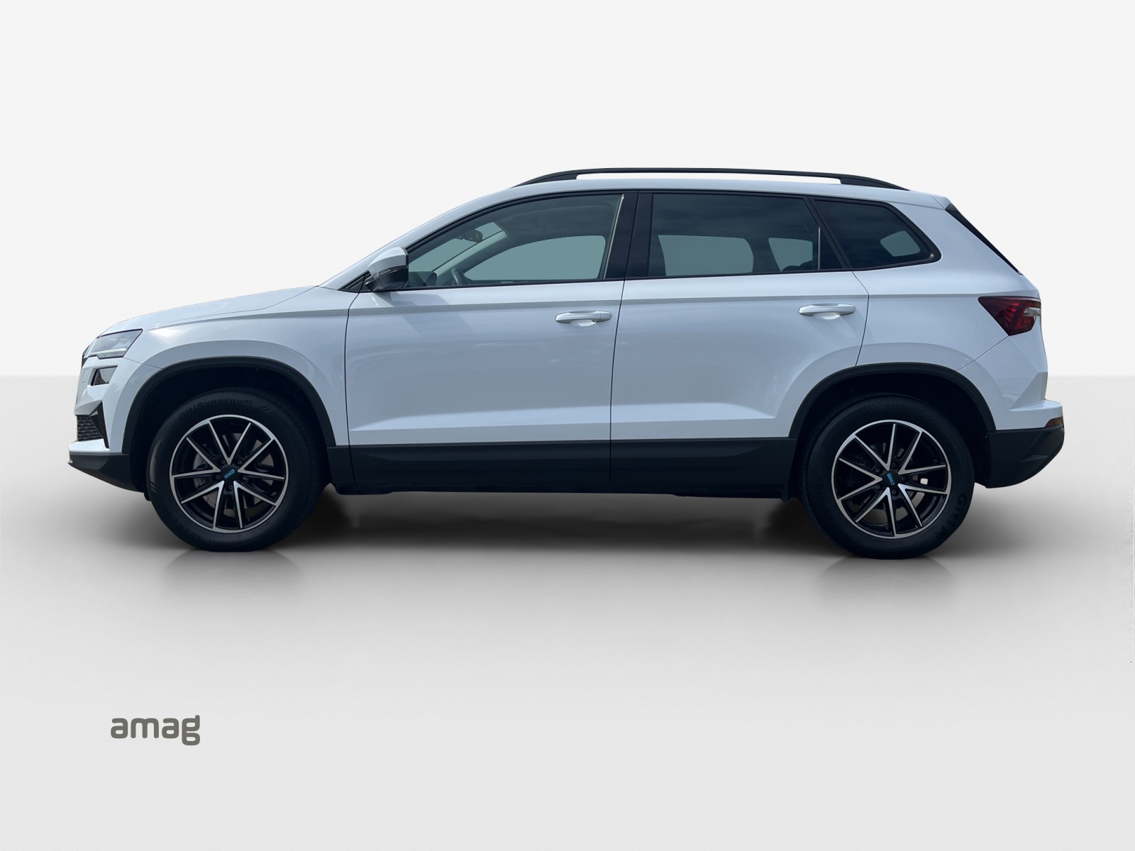 SKODA Karoq 2.0 TDI CR Ambition 4x4 DSG-image-1