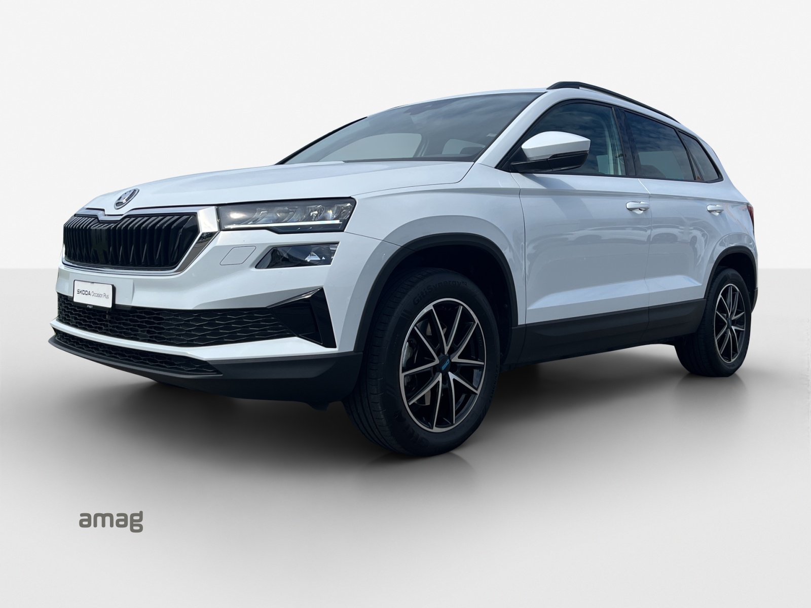 SKODA Karoq 2.0 TDI CR Ambition 4x4 DSG-image-0