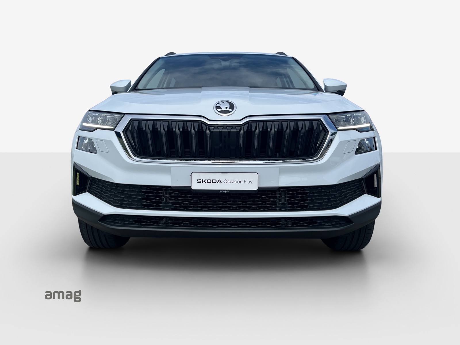 SKODA Karoq 2.0 TDI CR Ambition 4x4 DSG-image-6