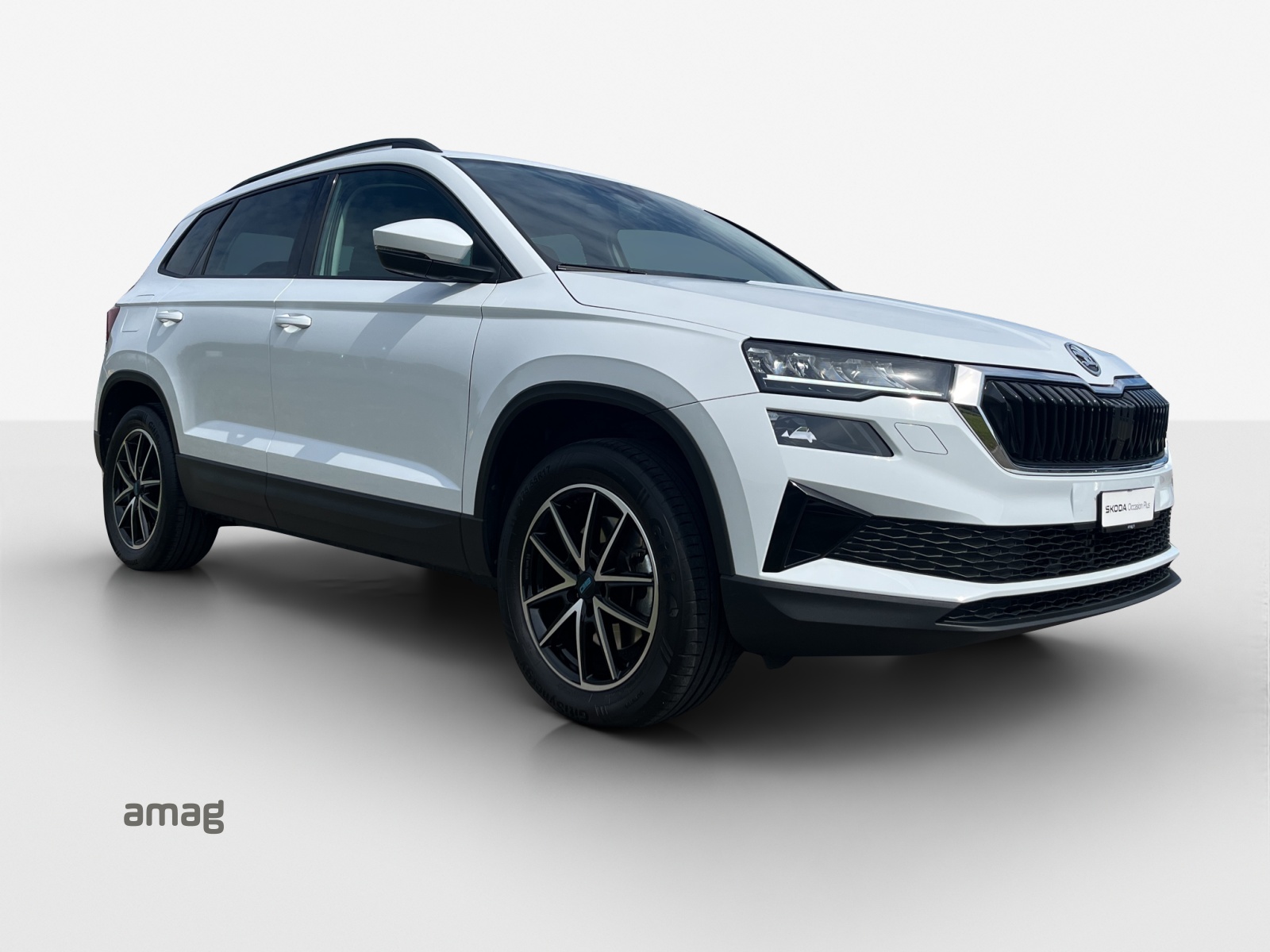 SKODA Karoq 2.0 TDI CR Ambition 4x4 DSG-image-5