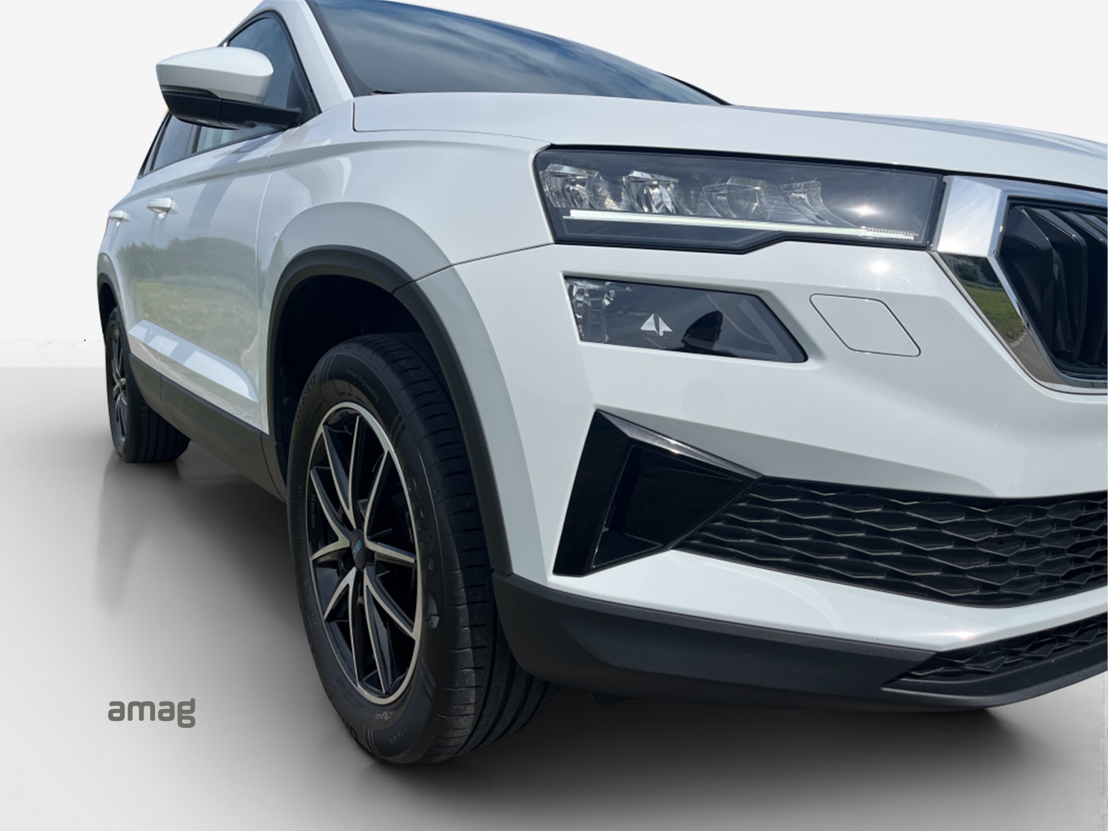 SKODA Karoq 2.0 TDI CR Ambition 4x4 DSG-image-13