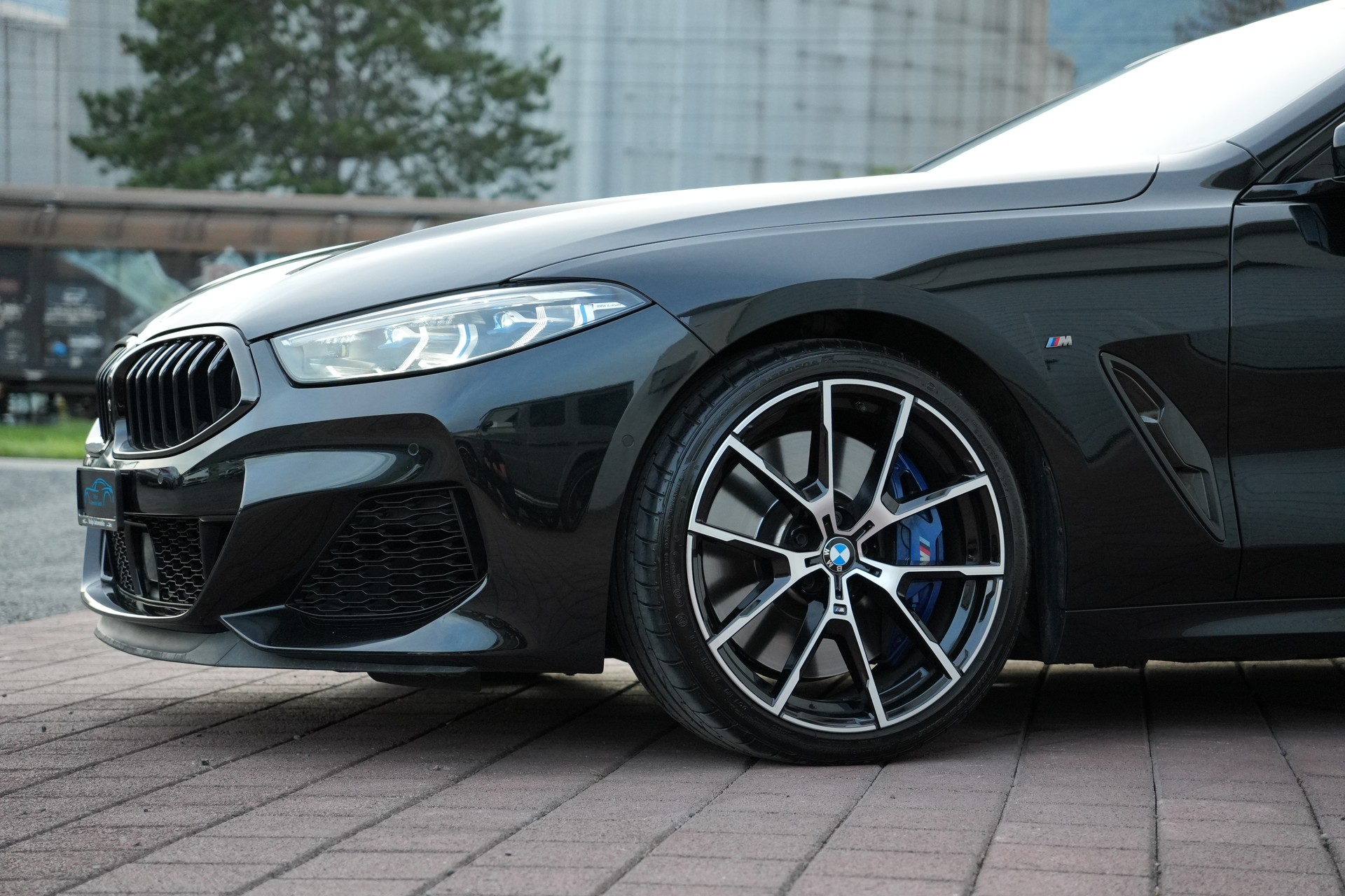 BMW M850i xDrive Steptronic (CH)-image-6