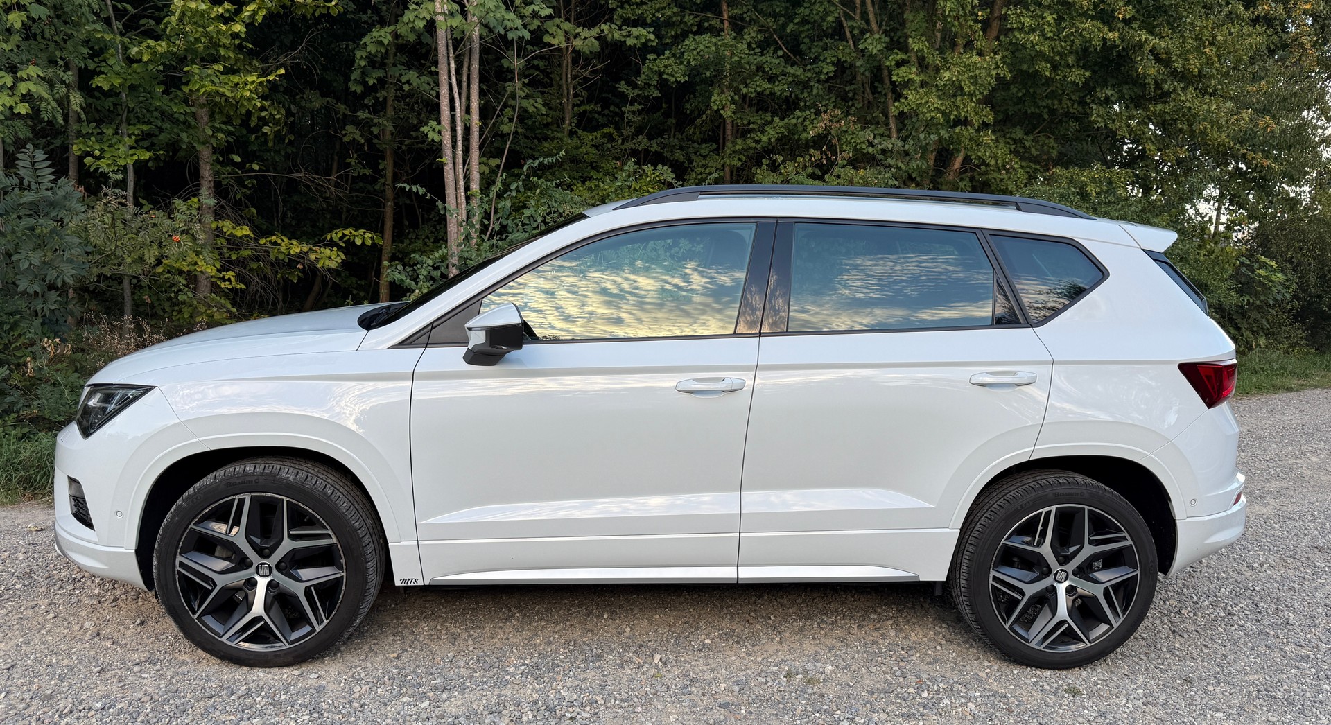 SEAT 2.0 TDI Swiss FR 4Drive DSG-image-2