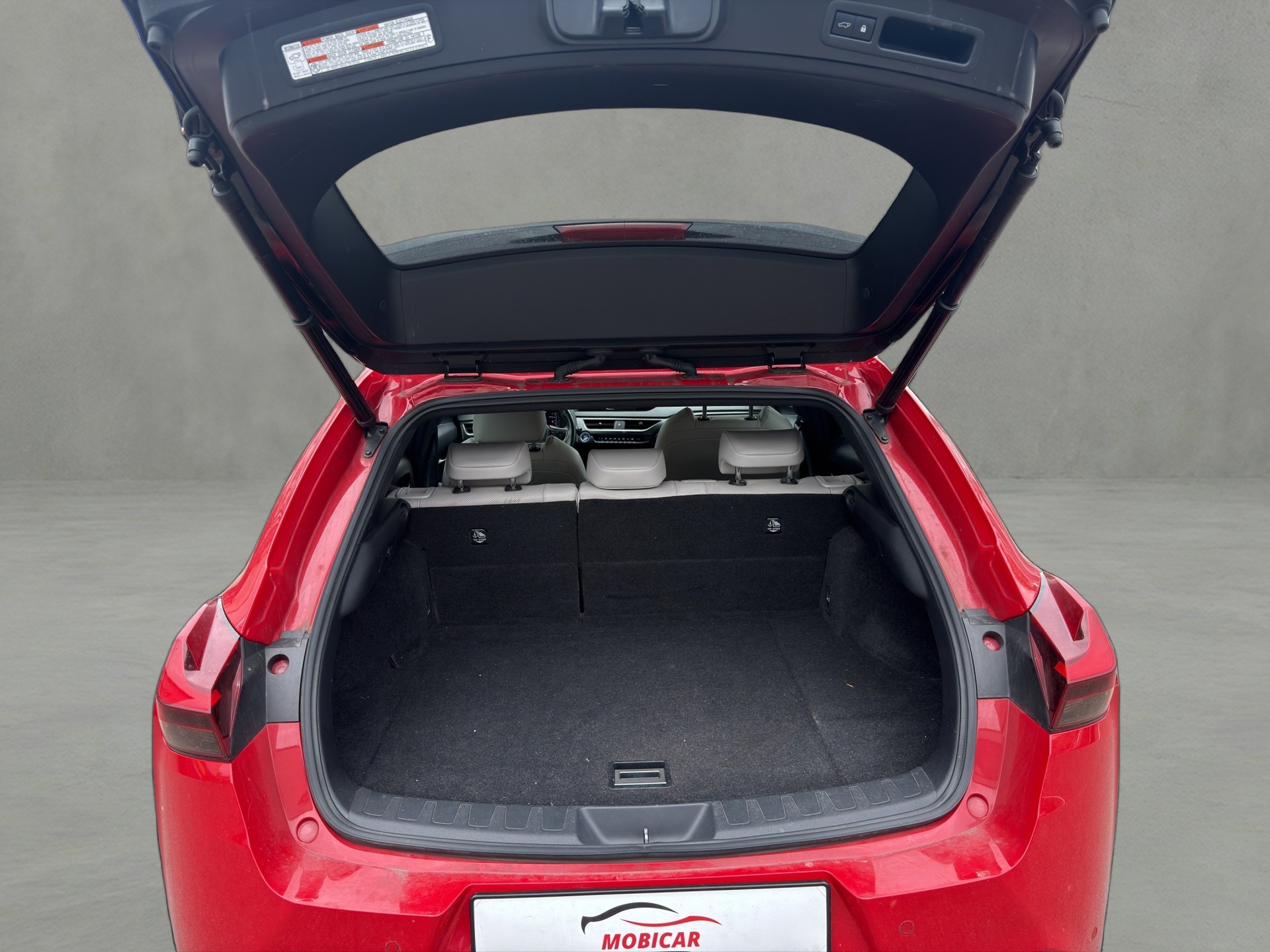 LEXUS UX 250h Comfort AWD Automatic-image-11