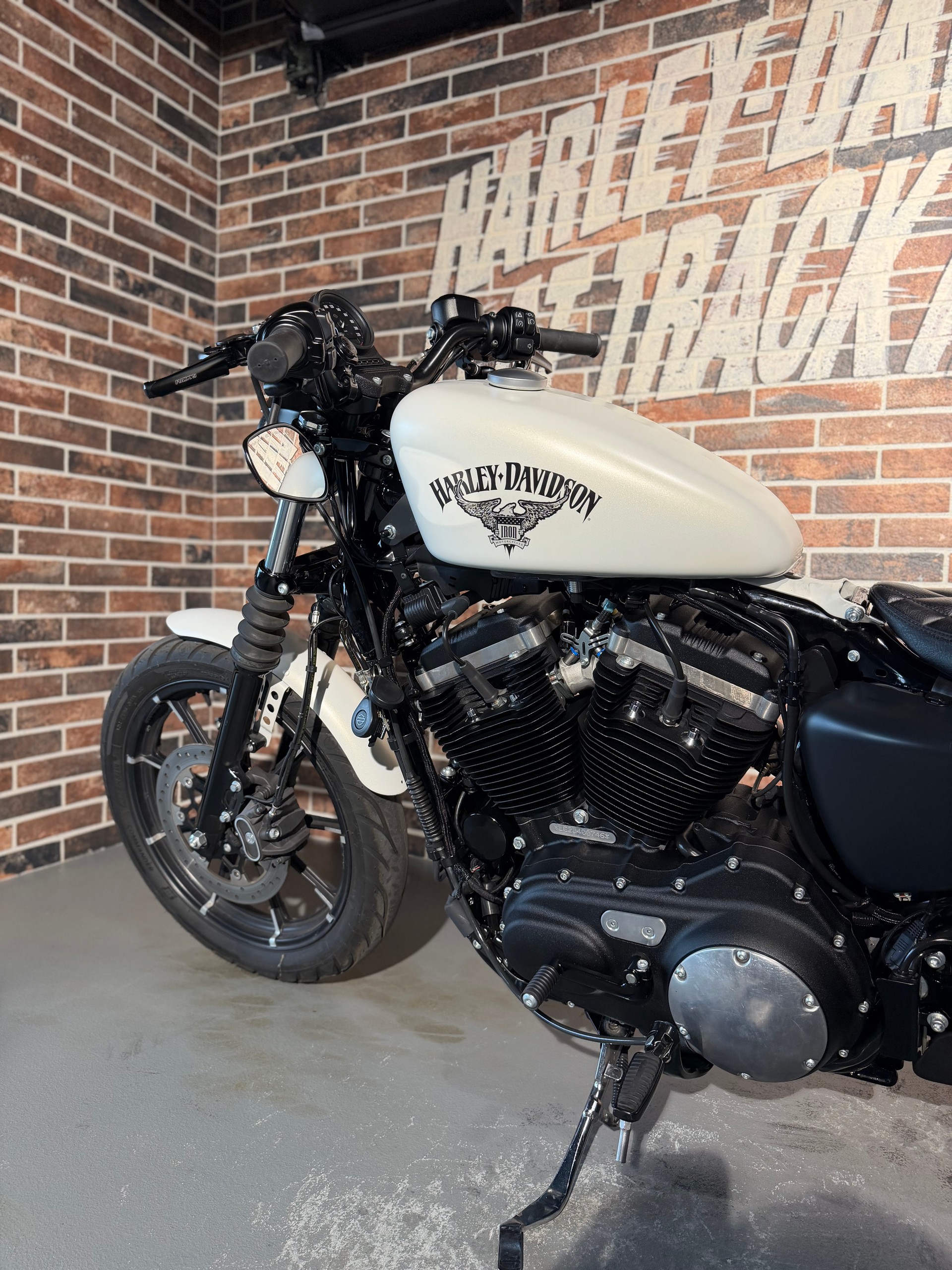 HARLEY-DAVIDSON XL 883 N Sportster Iron ABS-showroom-element-1