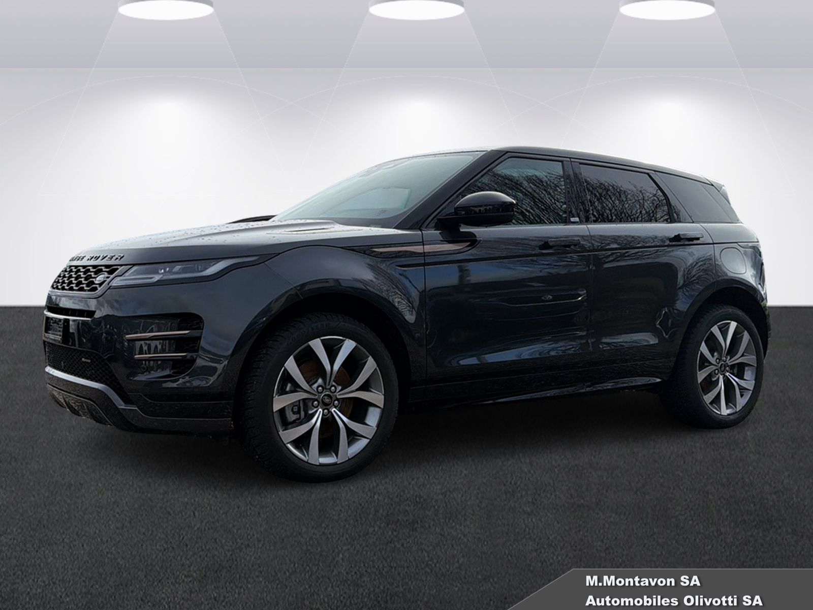 LAND ROVER Range Rover Evoque P 300e SE AT8-image-1