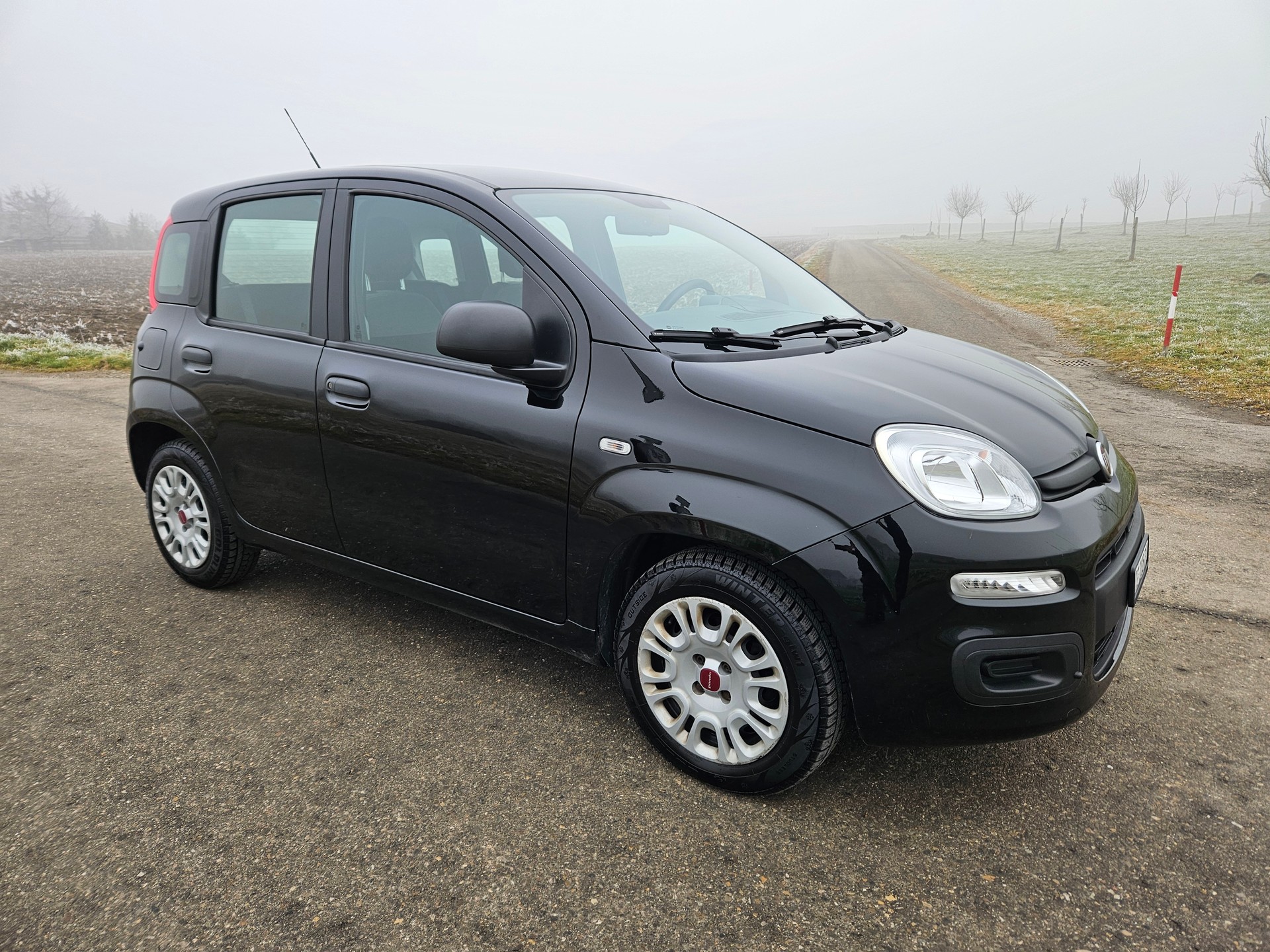 FIAT Panda 1.0 MHEV City Life-showroom-element-1