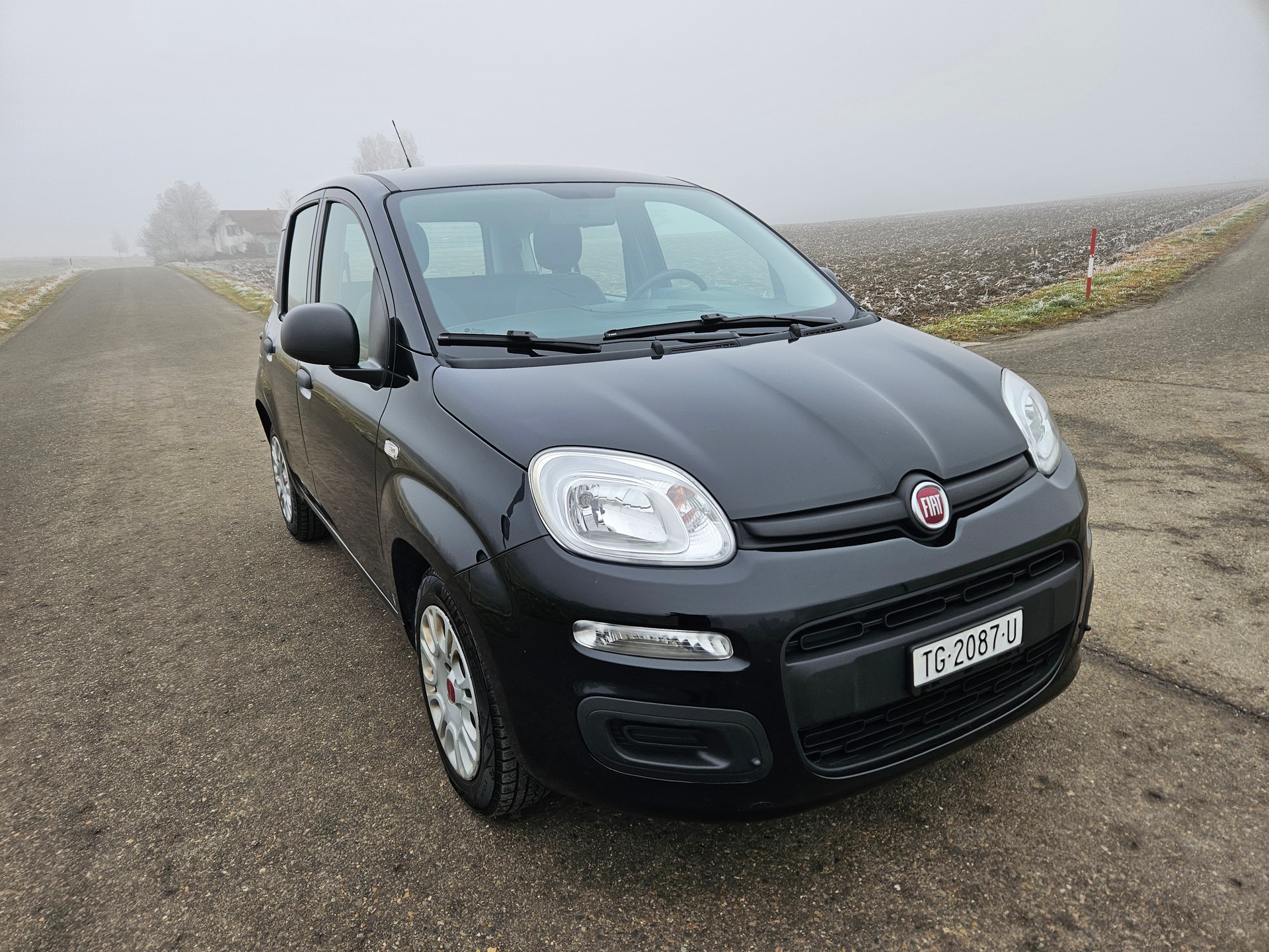 FIAT Panda 1.0 MHEV City Life-showroom-element-3
