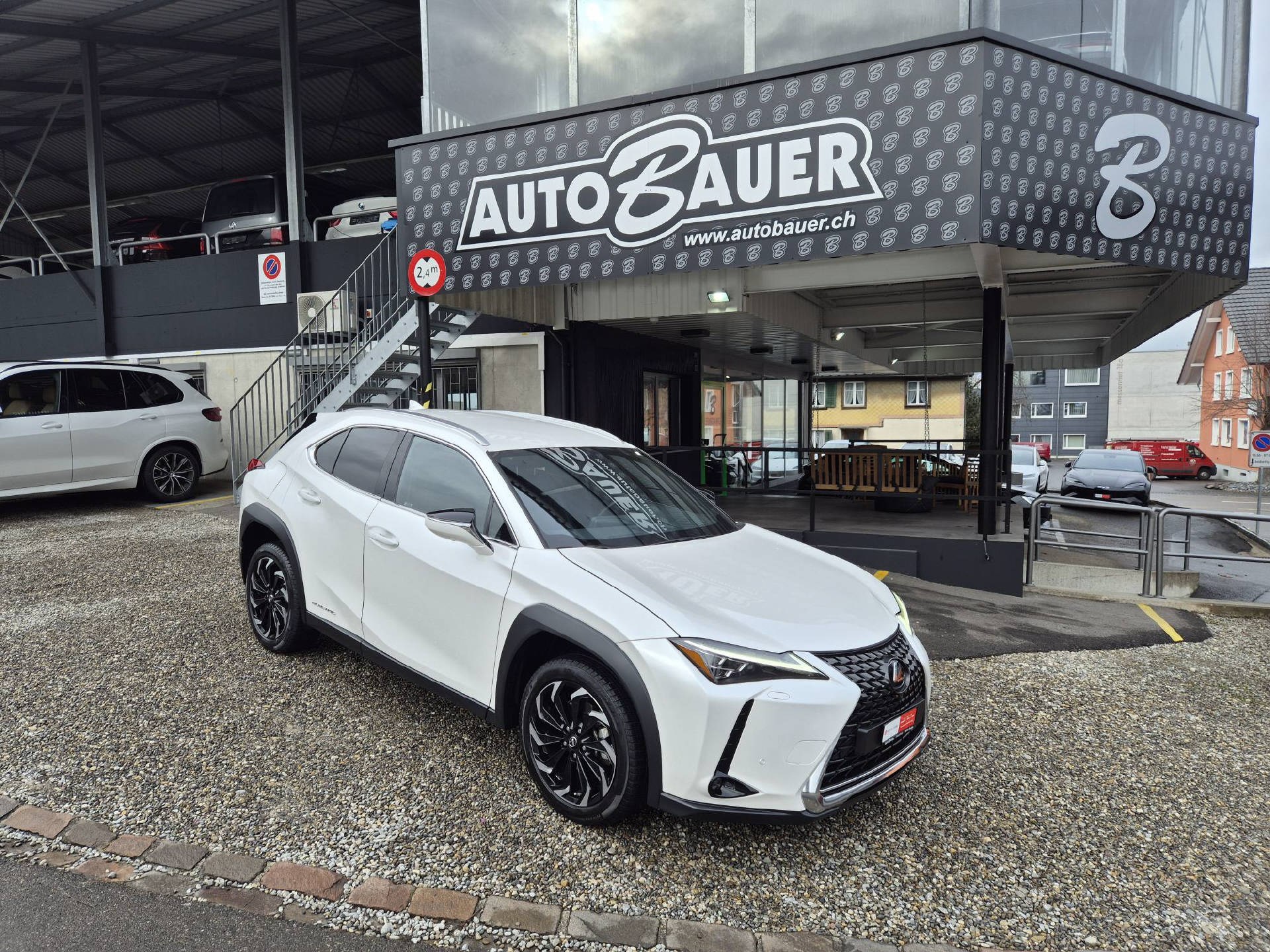 LEXUS UX 300e Excellence-image-0