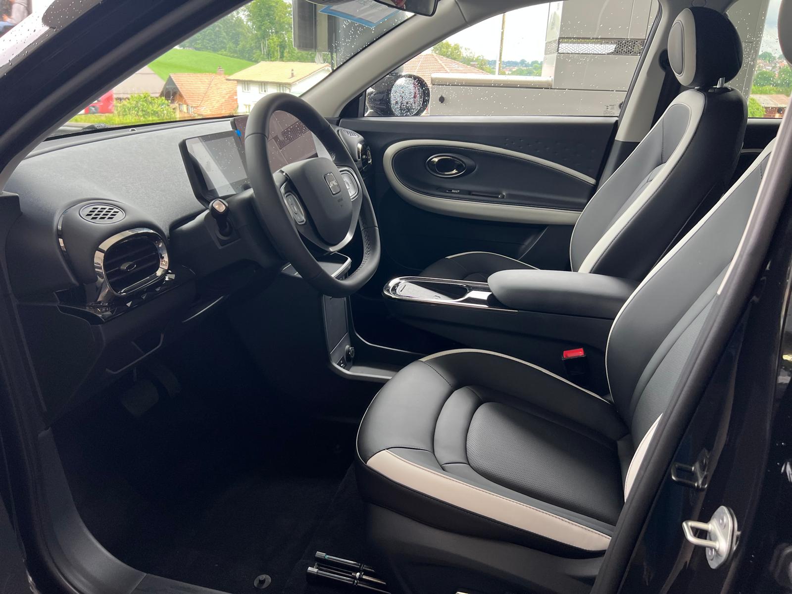 JAC E30X 51 kWh Flagship Pro+-image-6
