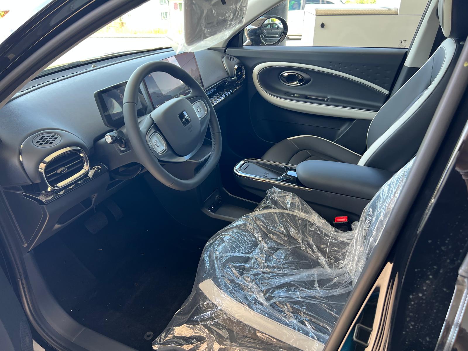 JAC E30X 51 kWh Flagship Pro+-image-4