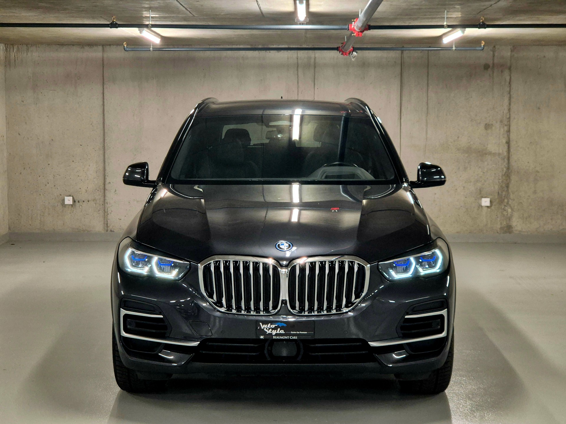 BMW X5 xDrive45e xLine Steptronic-showroom-element-1