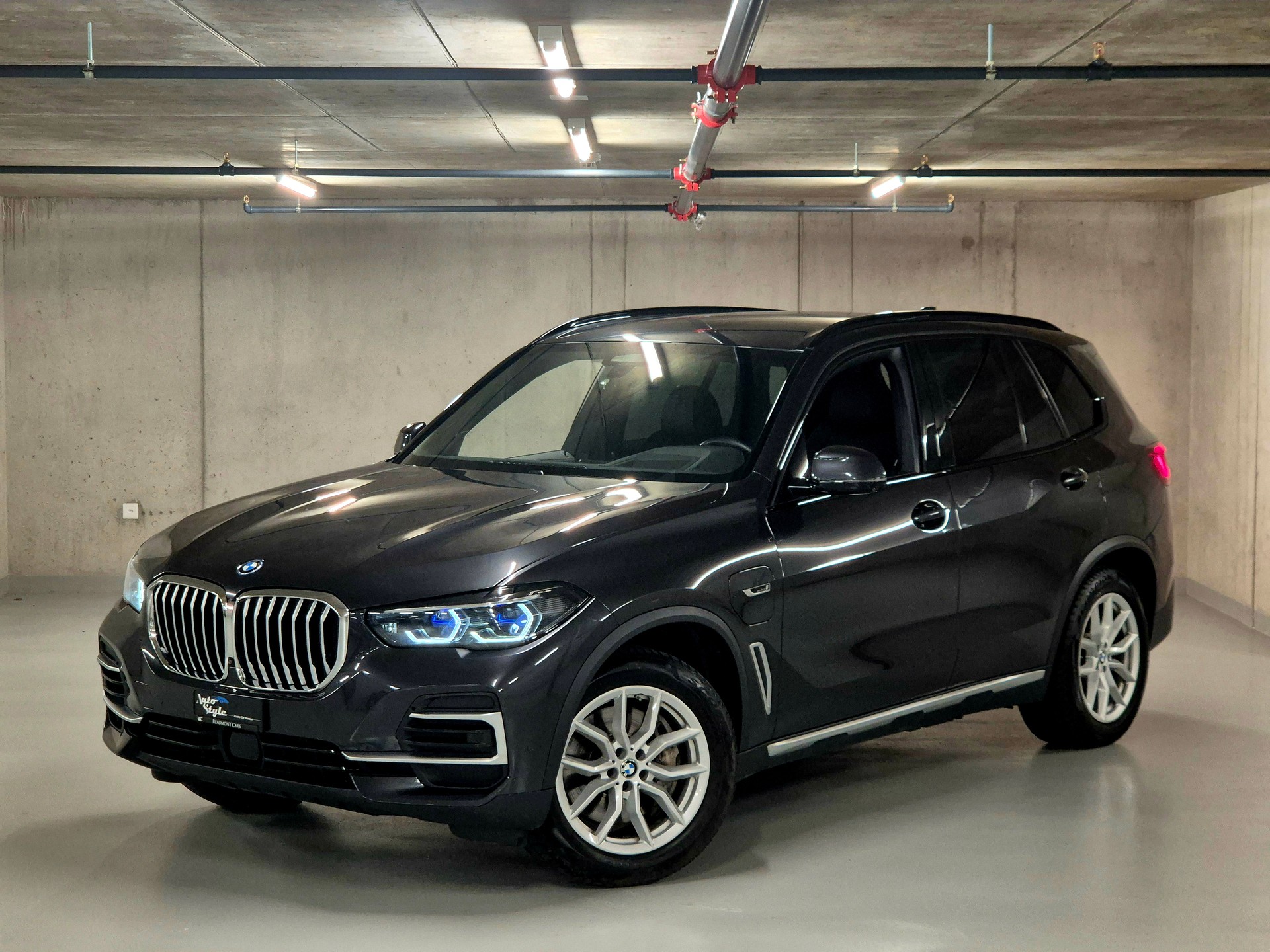BMW X5 xDrive45e xLine Steptronic-showroom-element-2