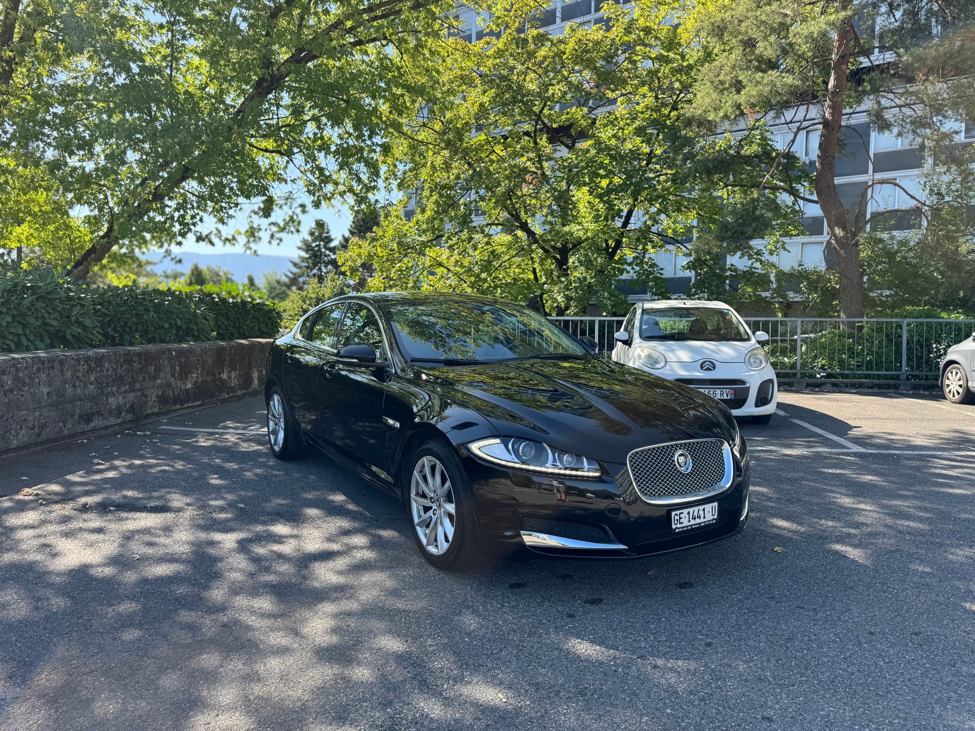 JAGUAR XF 2.2d Luxury-image-4
