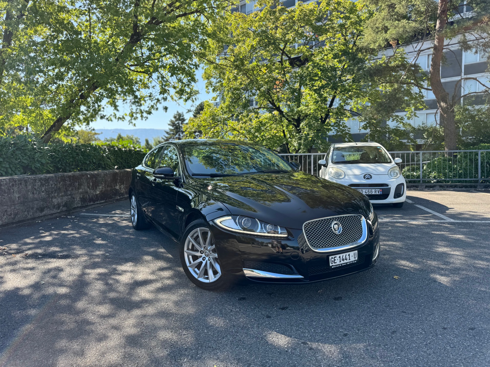 JAGUAR XF 2.2d Luxury-image-1