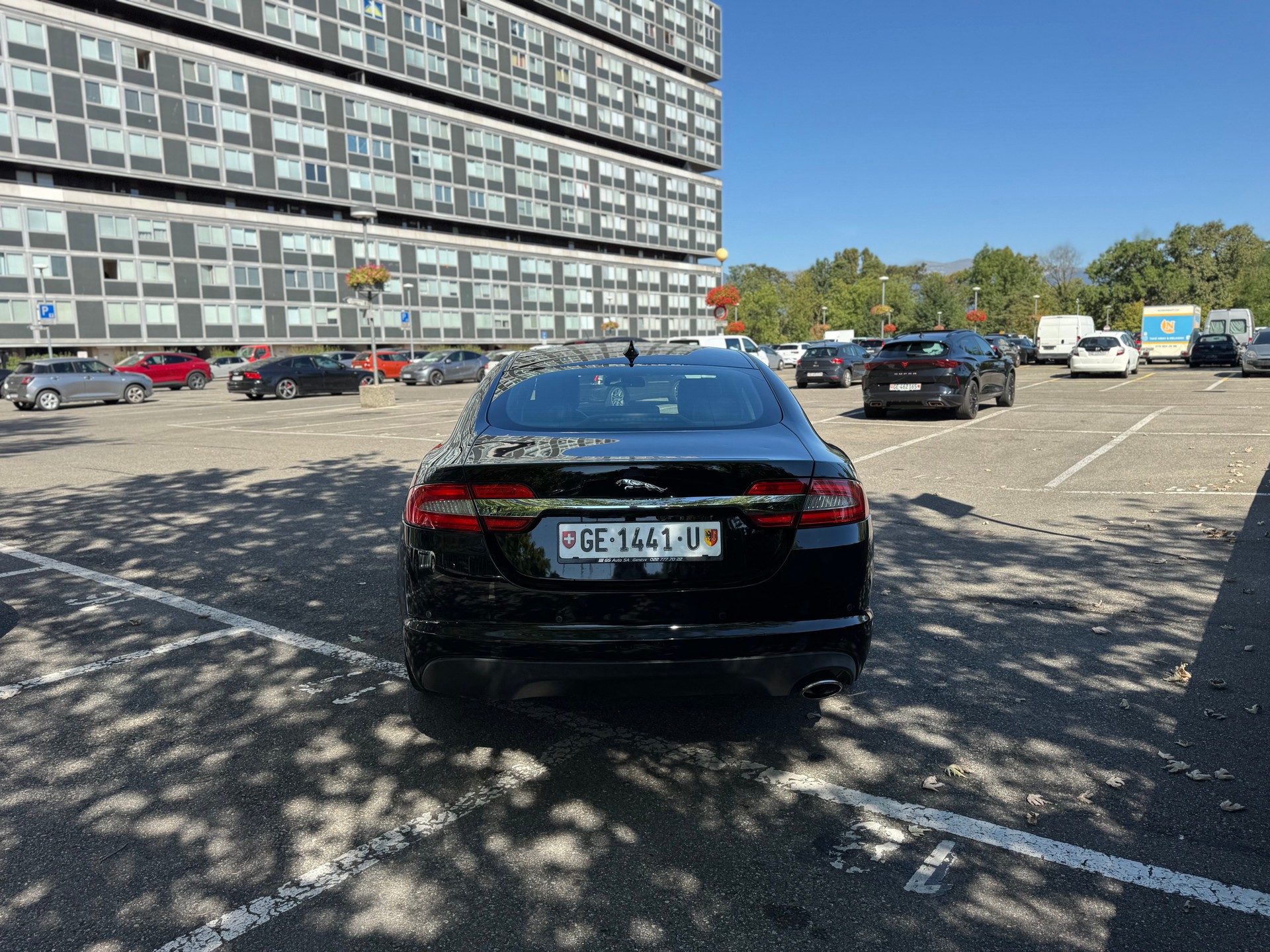 JAGUAR XF 2.2d Luxury-image-6