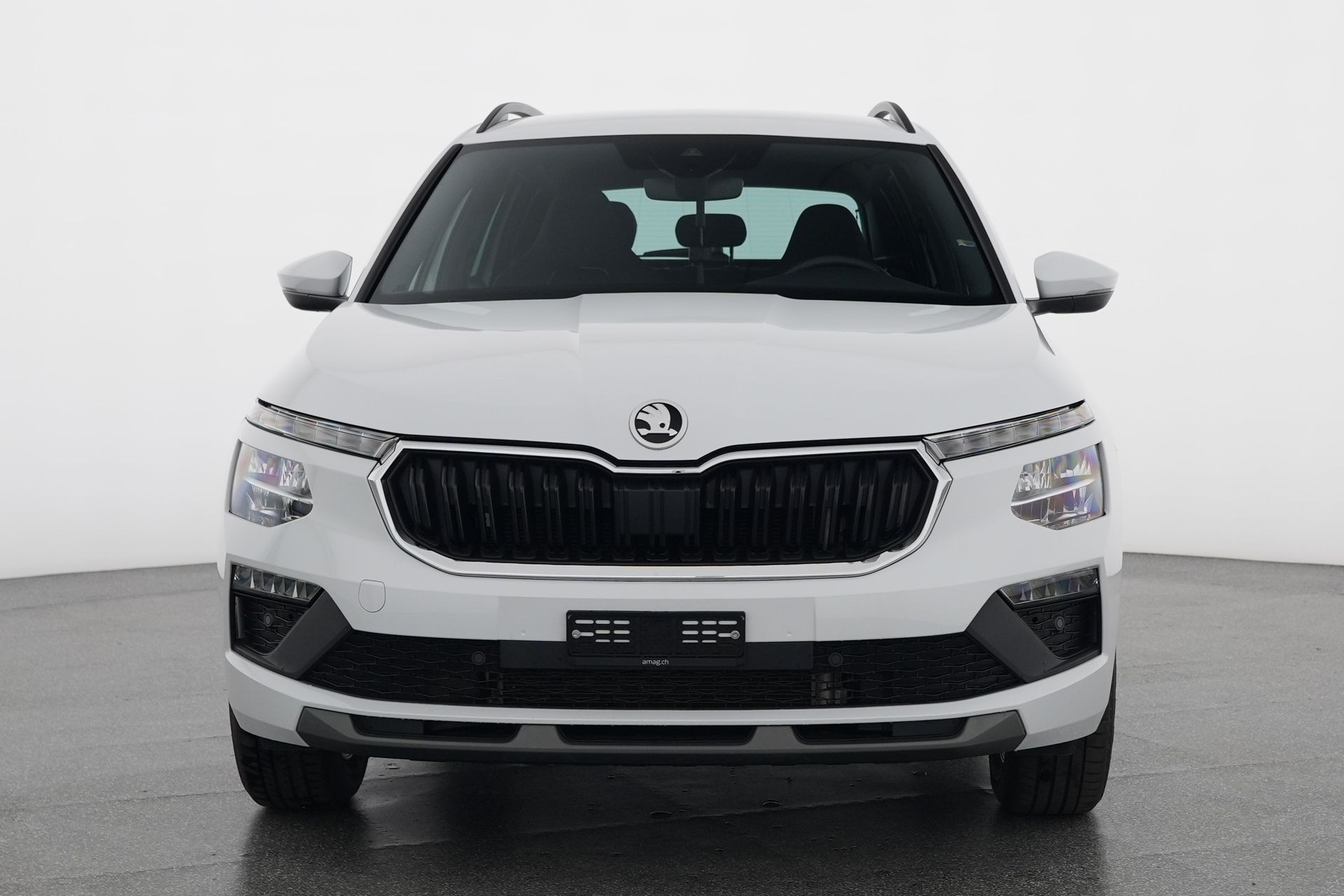 SKODA Kamiq 1.0 TSI Selection DSG-image-1