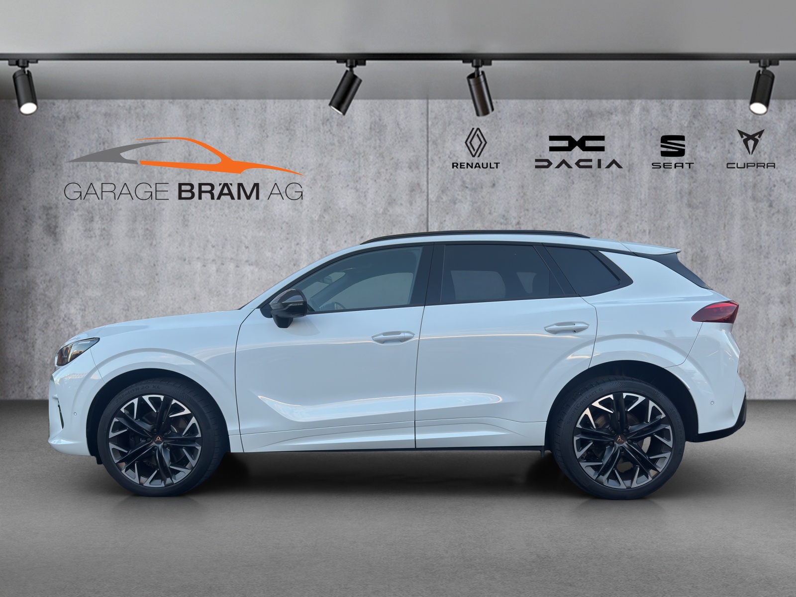 CUPRA Terramar 2.0 TSI DSG 4Drive VZ-image-2