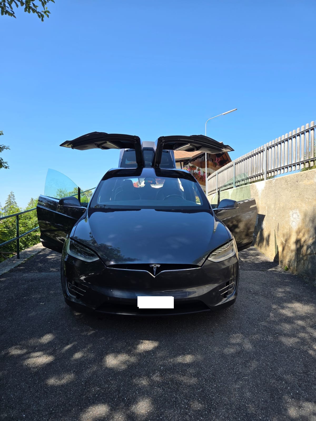 TESLA Model X 100 D-image-0