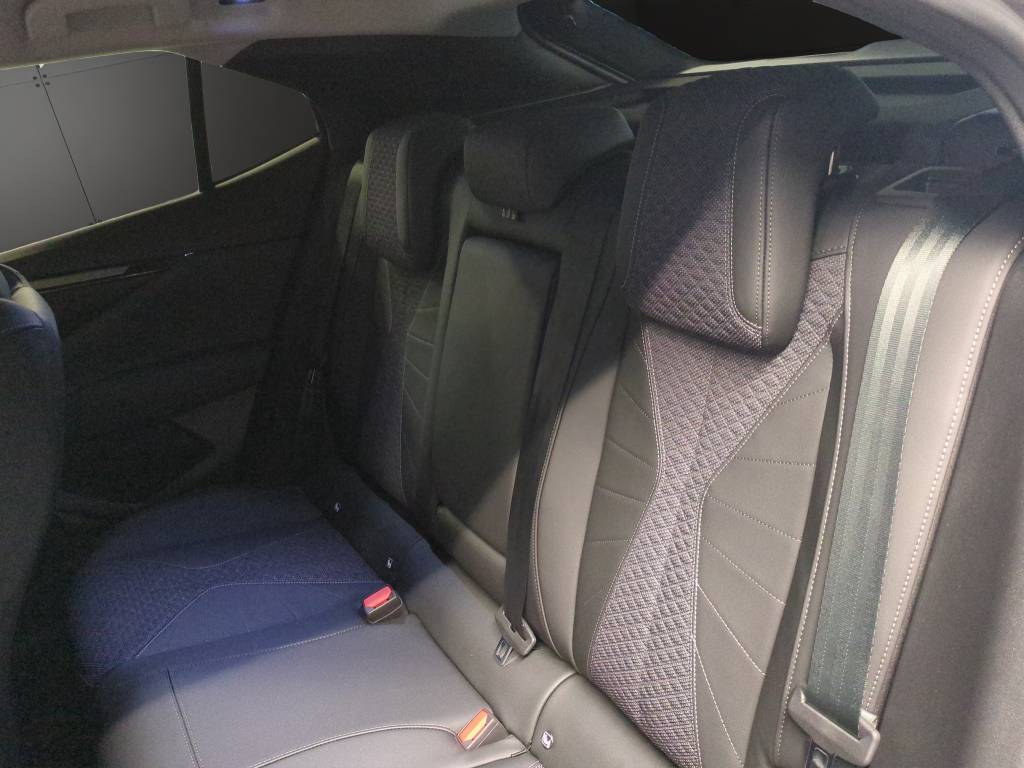 DS AUTOMOBILES DS 4 1.2 MHEV Ligne Noire-image-8
