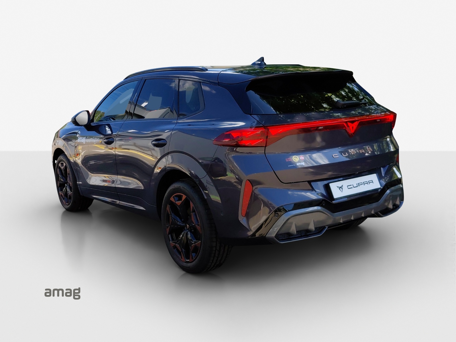 CUPRA Terramar 2.0 TSI DSG 4Drive-image-2