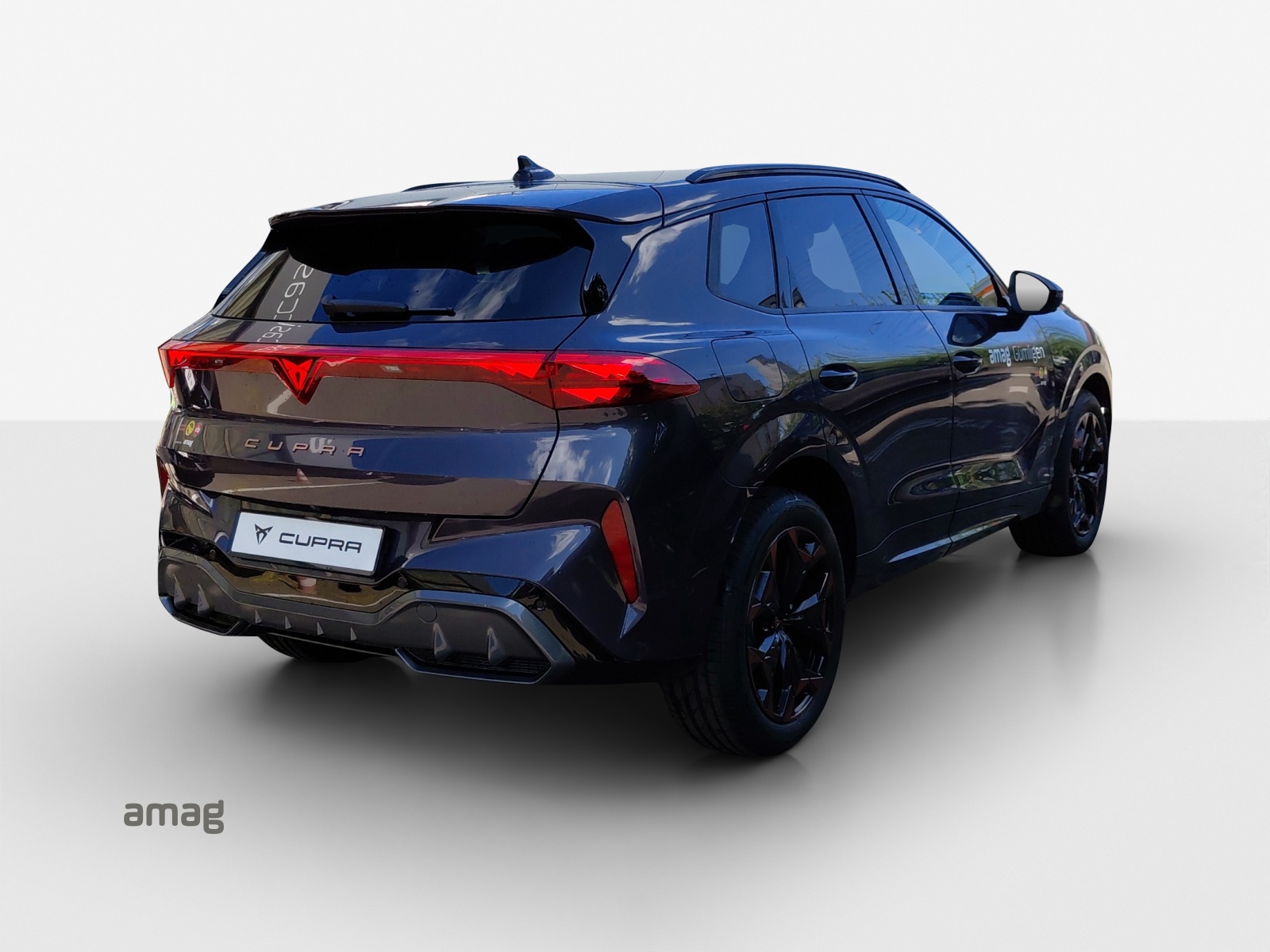 CUPRA Terramar 2.0 TSI DSG 4Drive-image-4