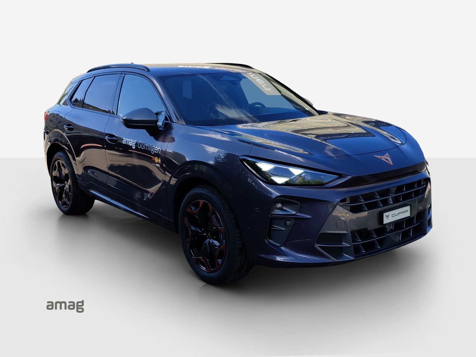 CUPRA Terramar 2.0 TSI DSG 4Drive-image-5